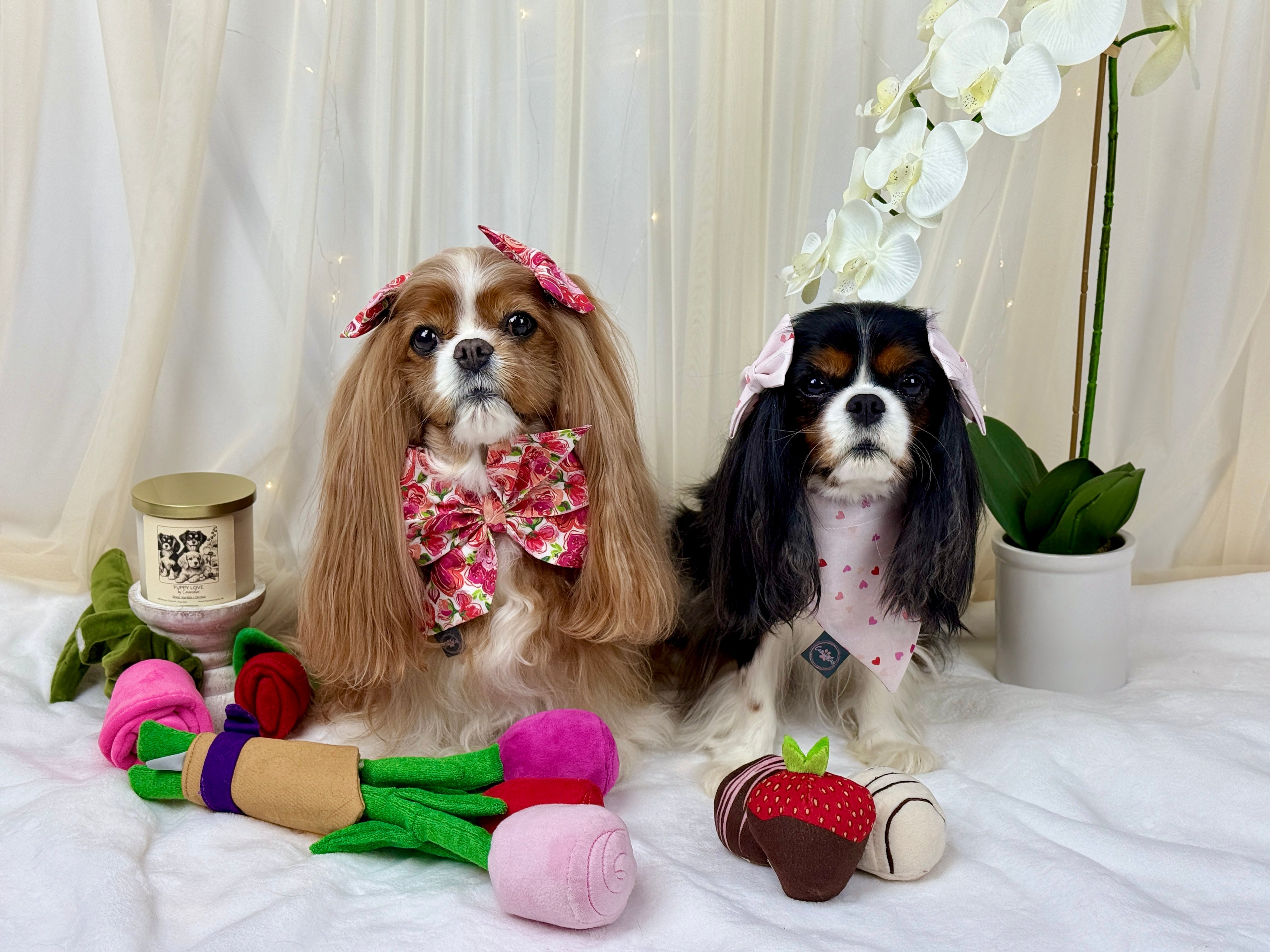 Love In Bloom & Sweetheart Sprinklles