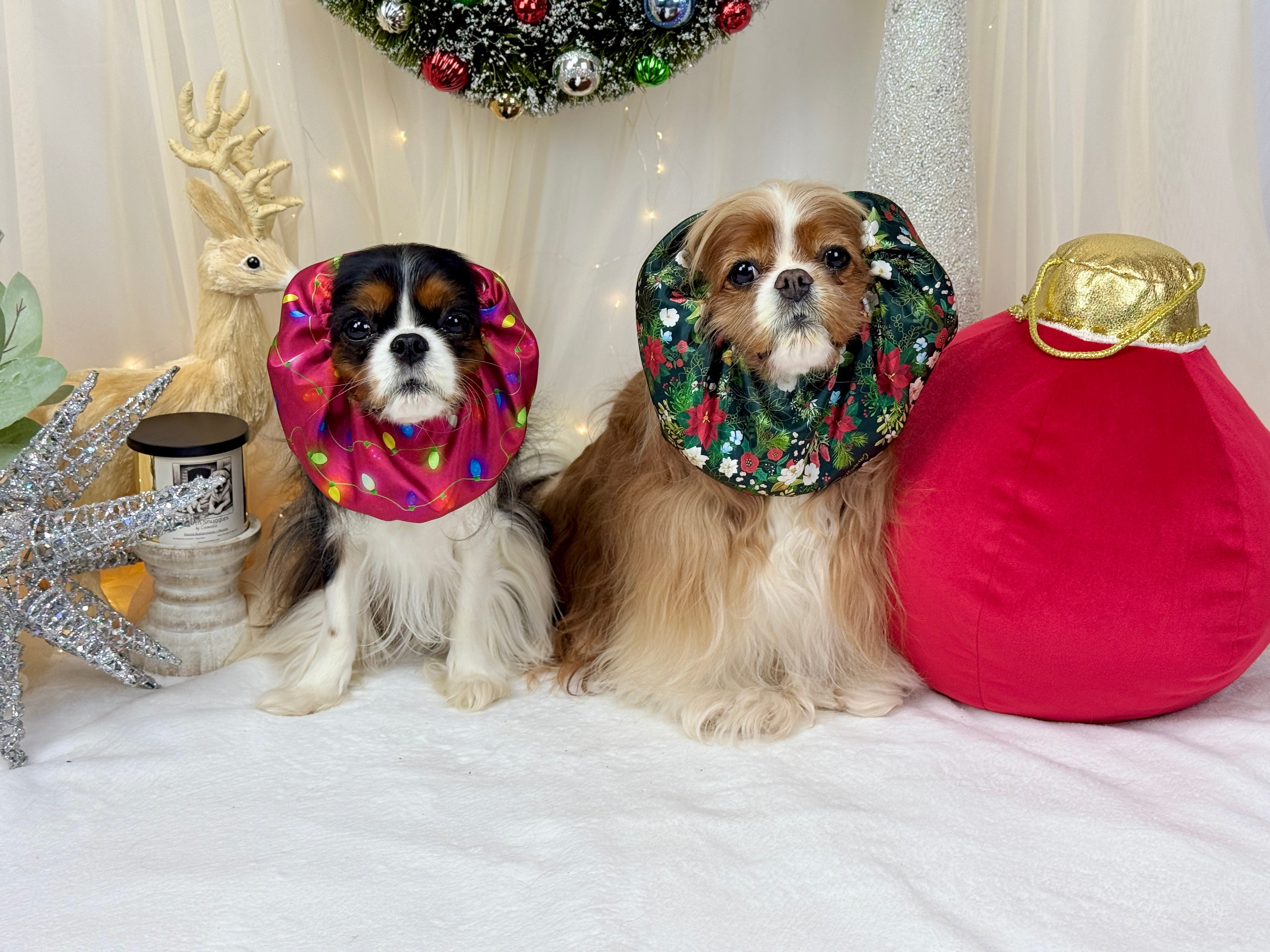 The Long-Ear Struggles are Real Snood