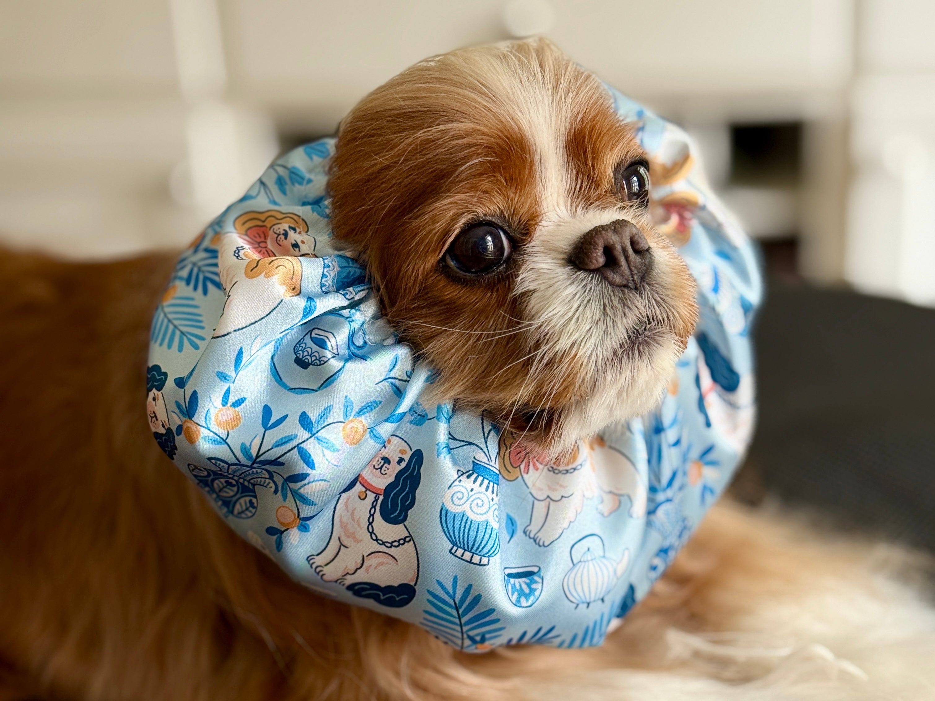 The Long-Ear Struggles are Real Snood