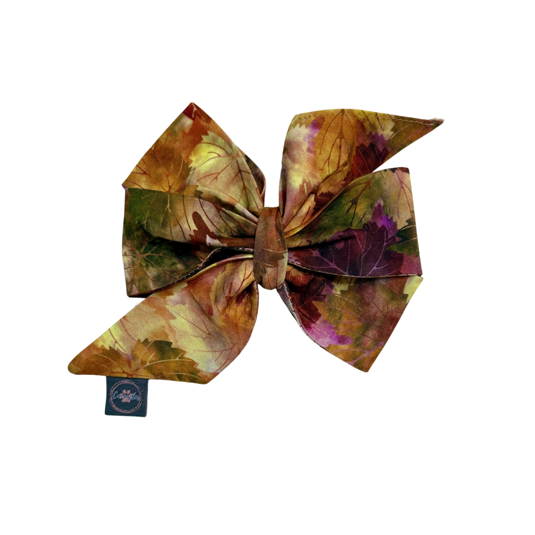 Strike a Pose Bow - Falling for Fall