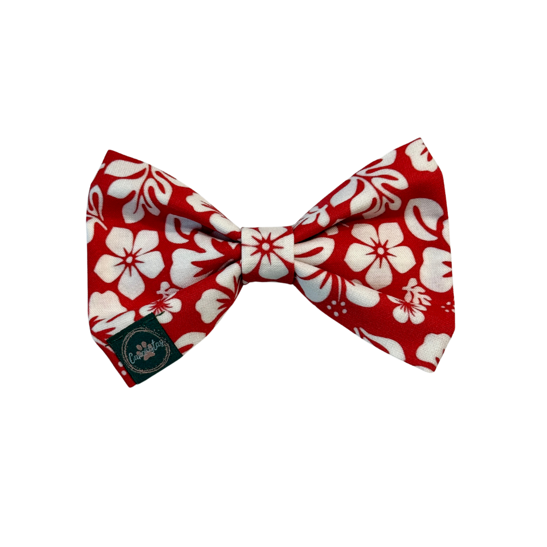 Dress to Impress Bow Tie - Surf Club Honolulu & Aloha