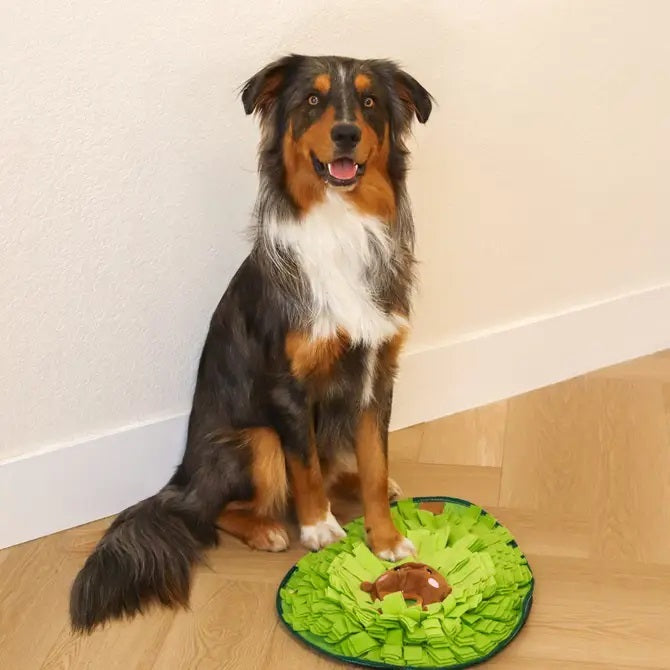 Avocado Snuffle Mat