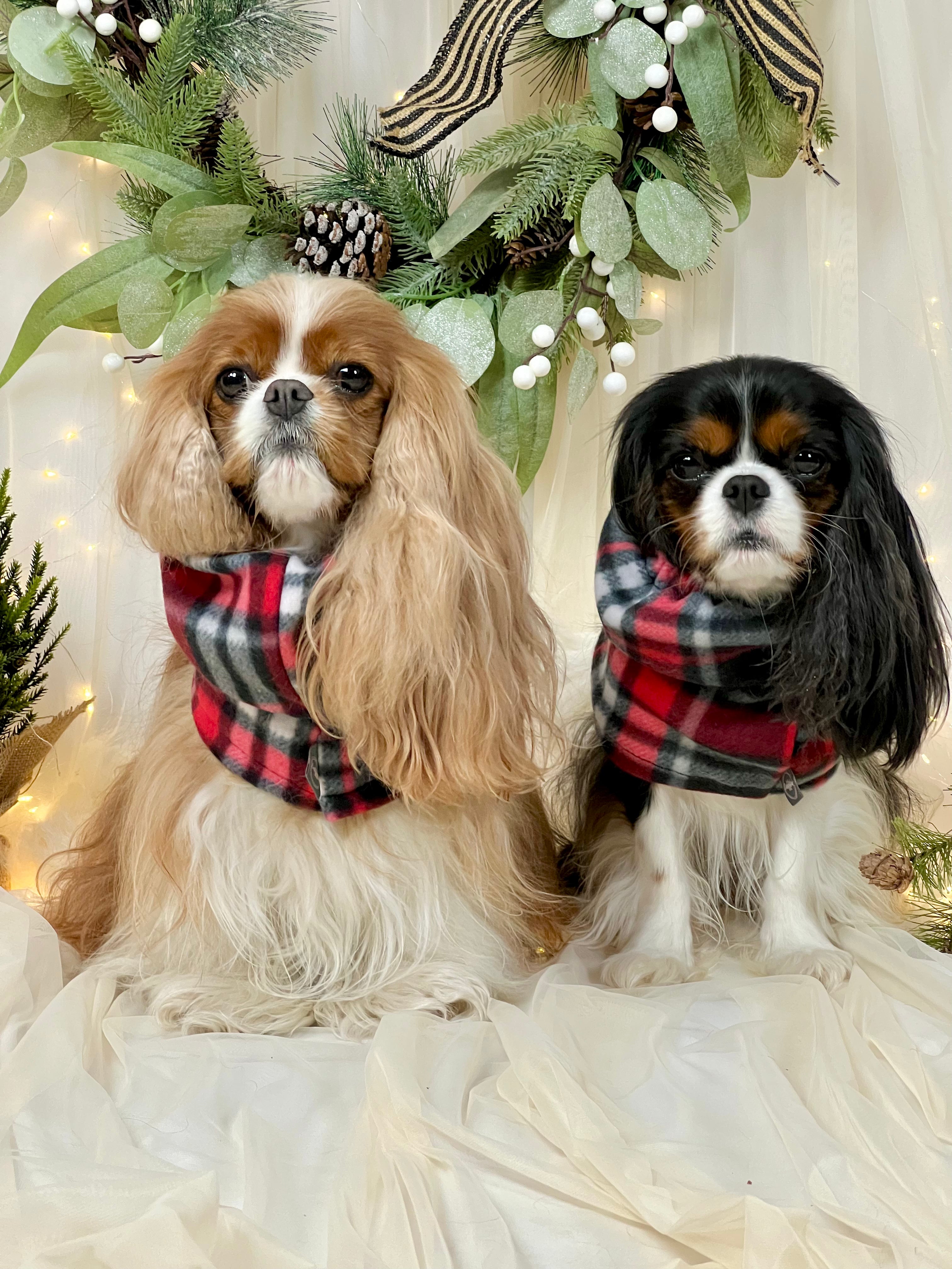 Cozy & Warm Infinity Scarf