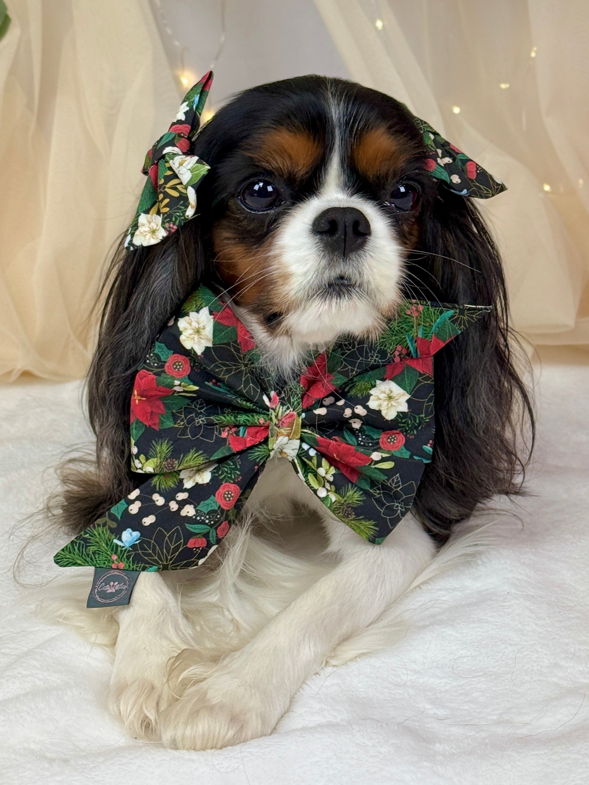 Strike a Pose Bow - Midnight Winter Garden or Twilight Sleigh Ride