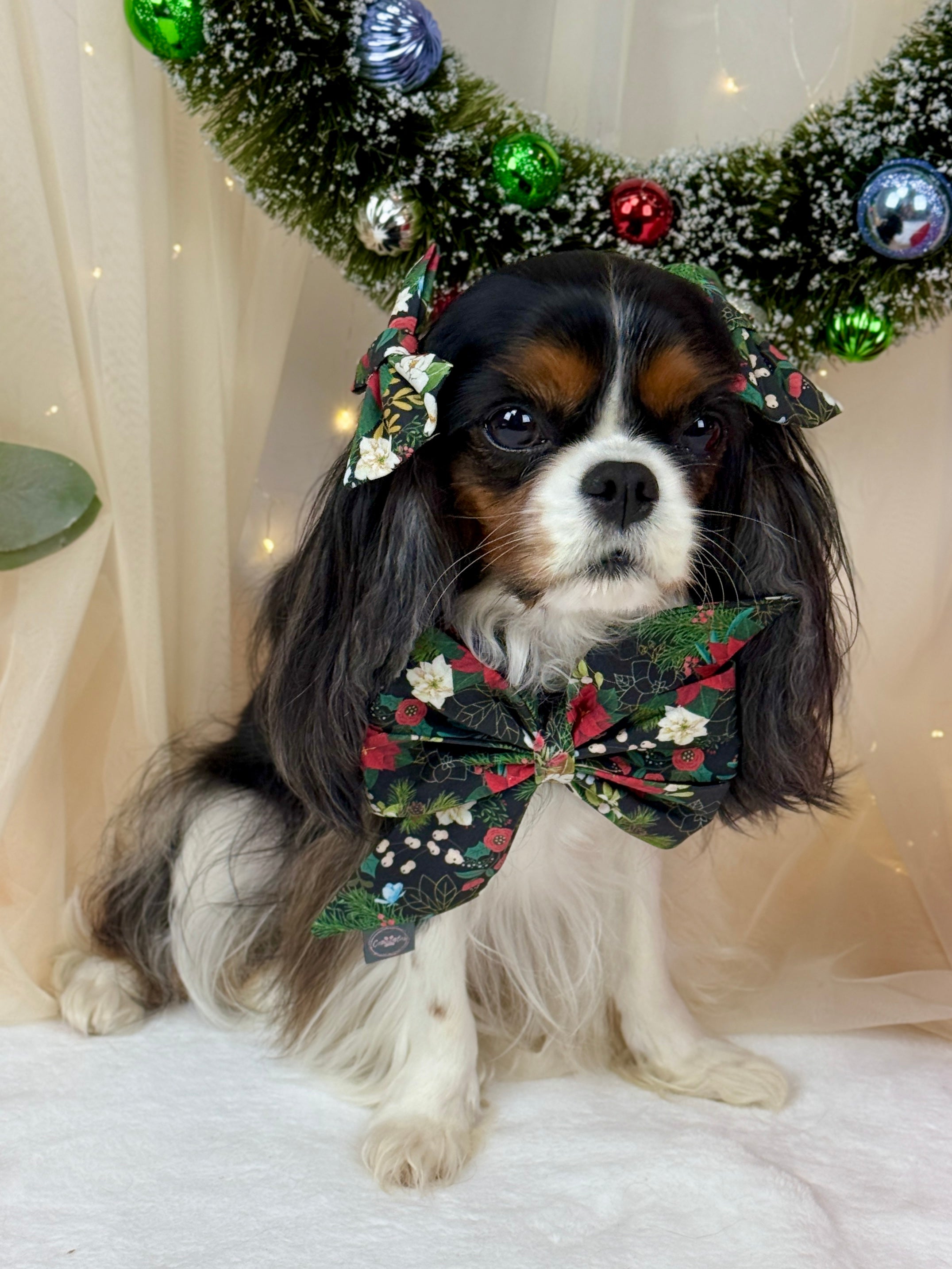 Strike a Pose Bow - Midnight Winter Garden or Twilight Sleigh Ride