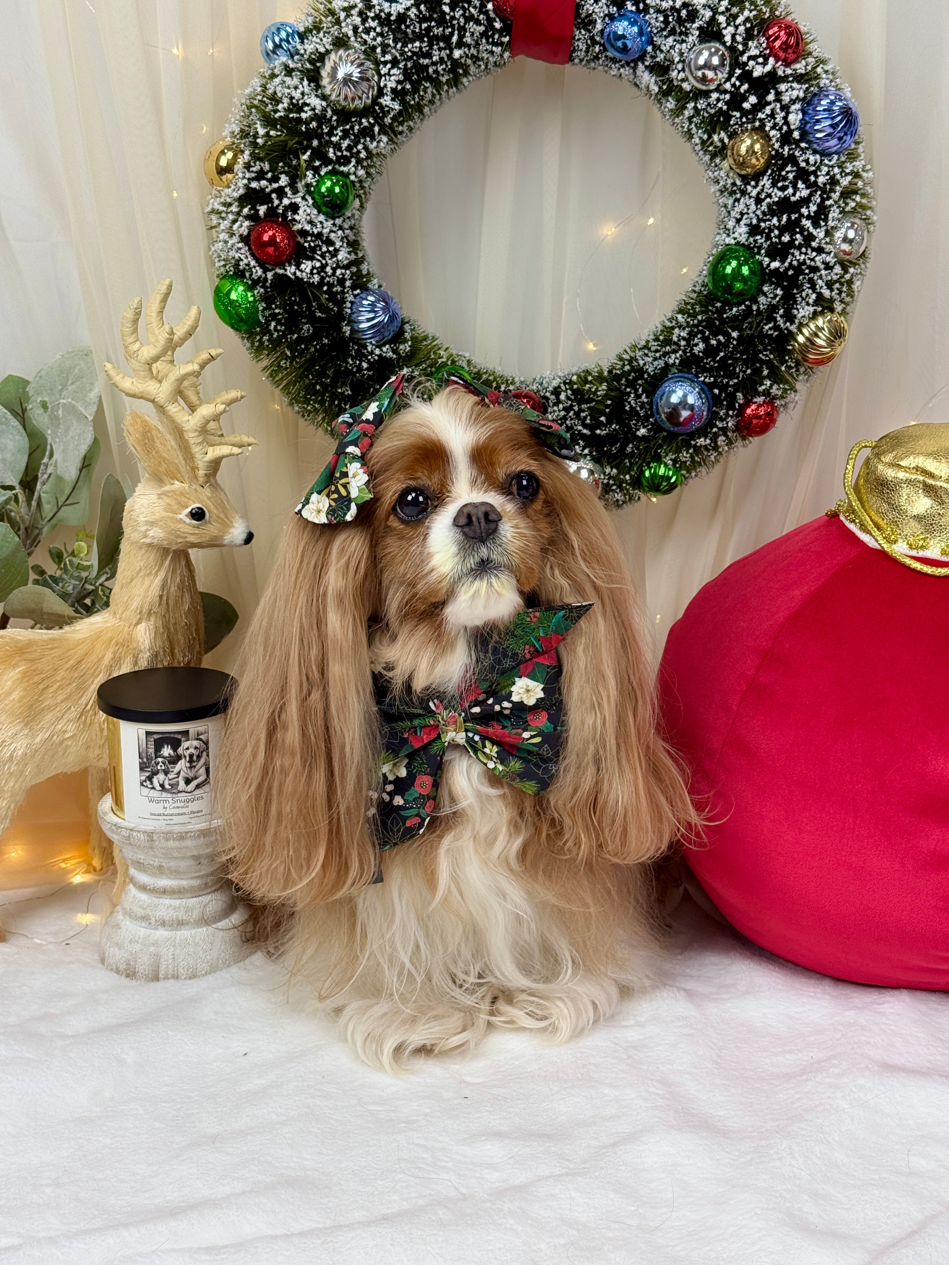 Strike a Pose Bow - Midnight Winter Garden or Twilight Sleigh Ride