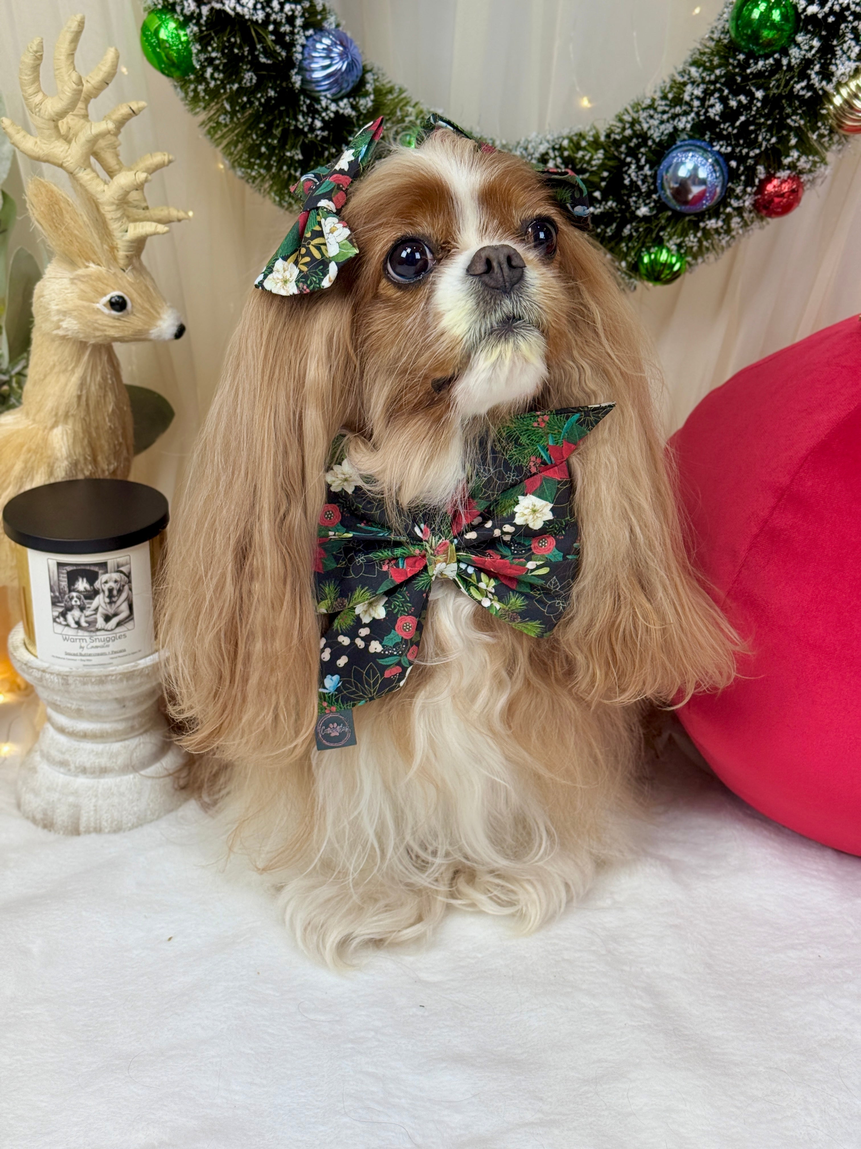 Strike a Pose Bow - Midnight Winter Garden or Twilight Sleigh Ride