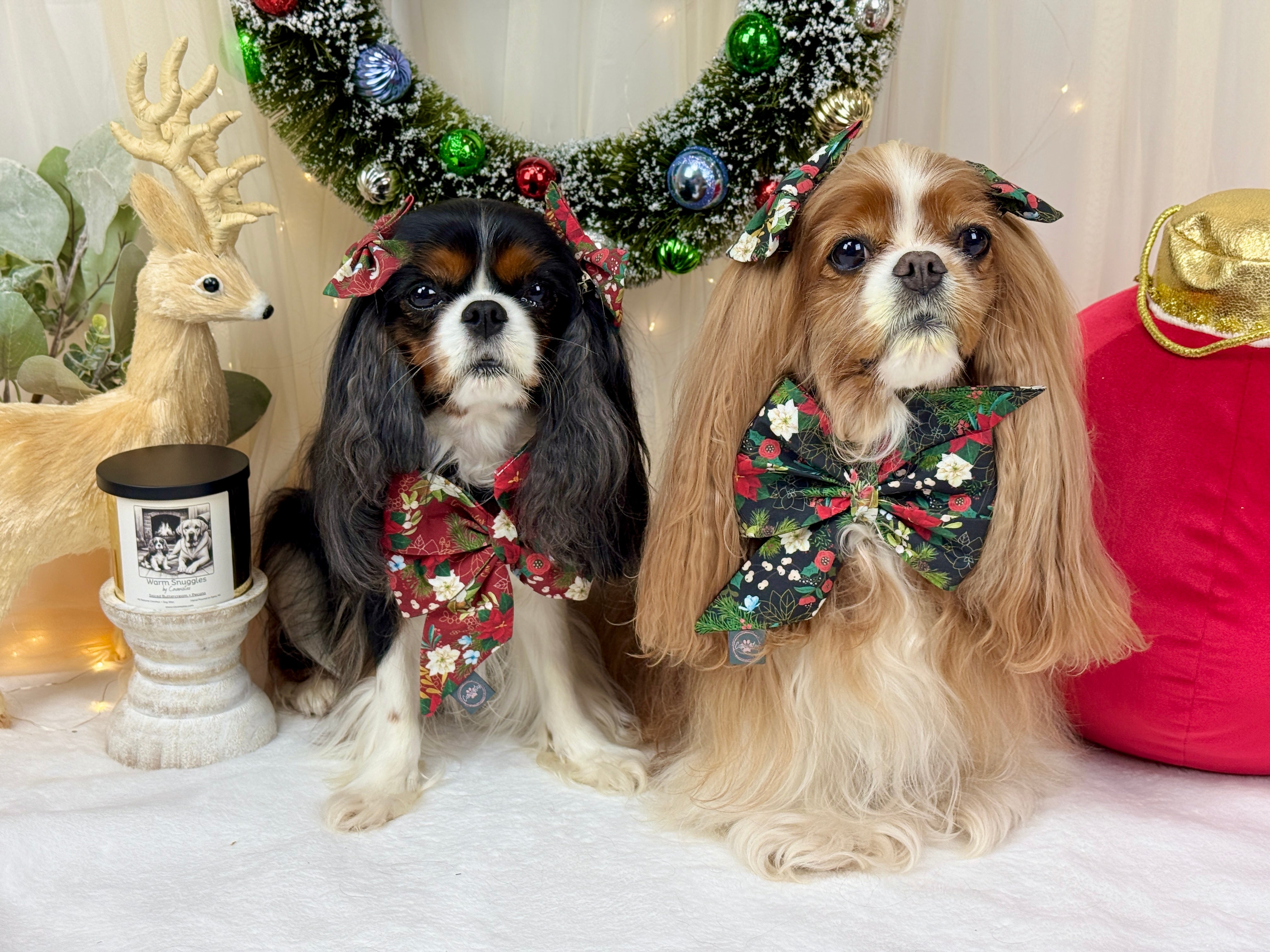 Strike a Pose Bow - Midnight Winter Garden or Twilight Sleigh Ride