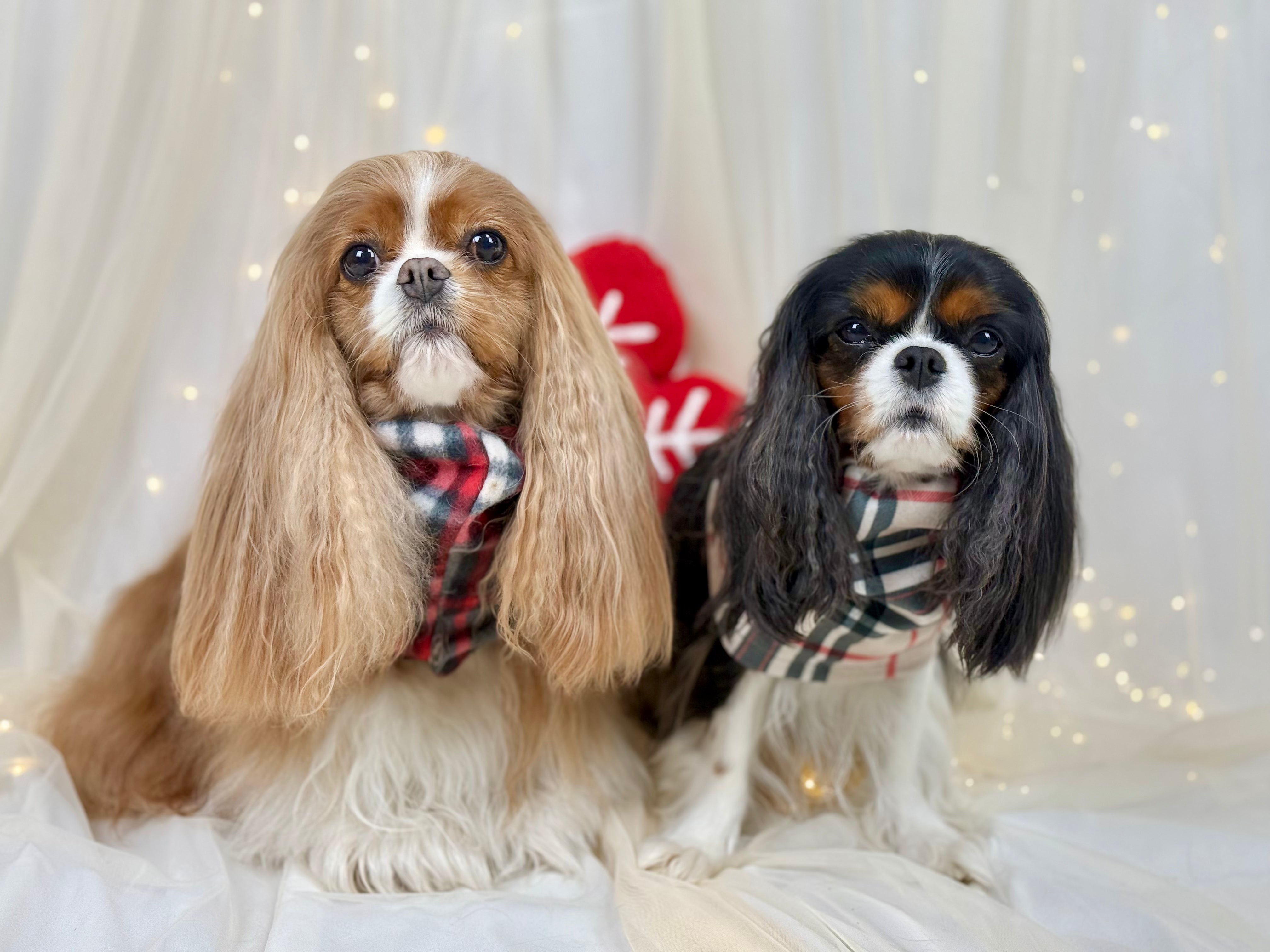 Cozy & Warm Infinity Scarf