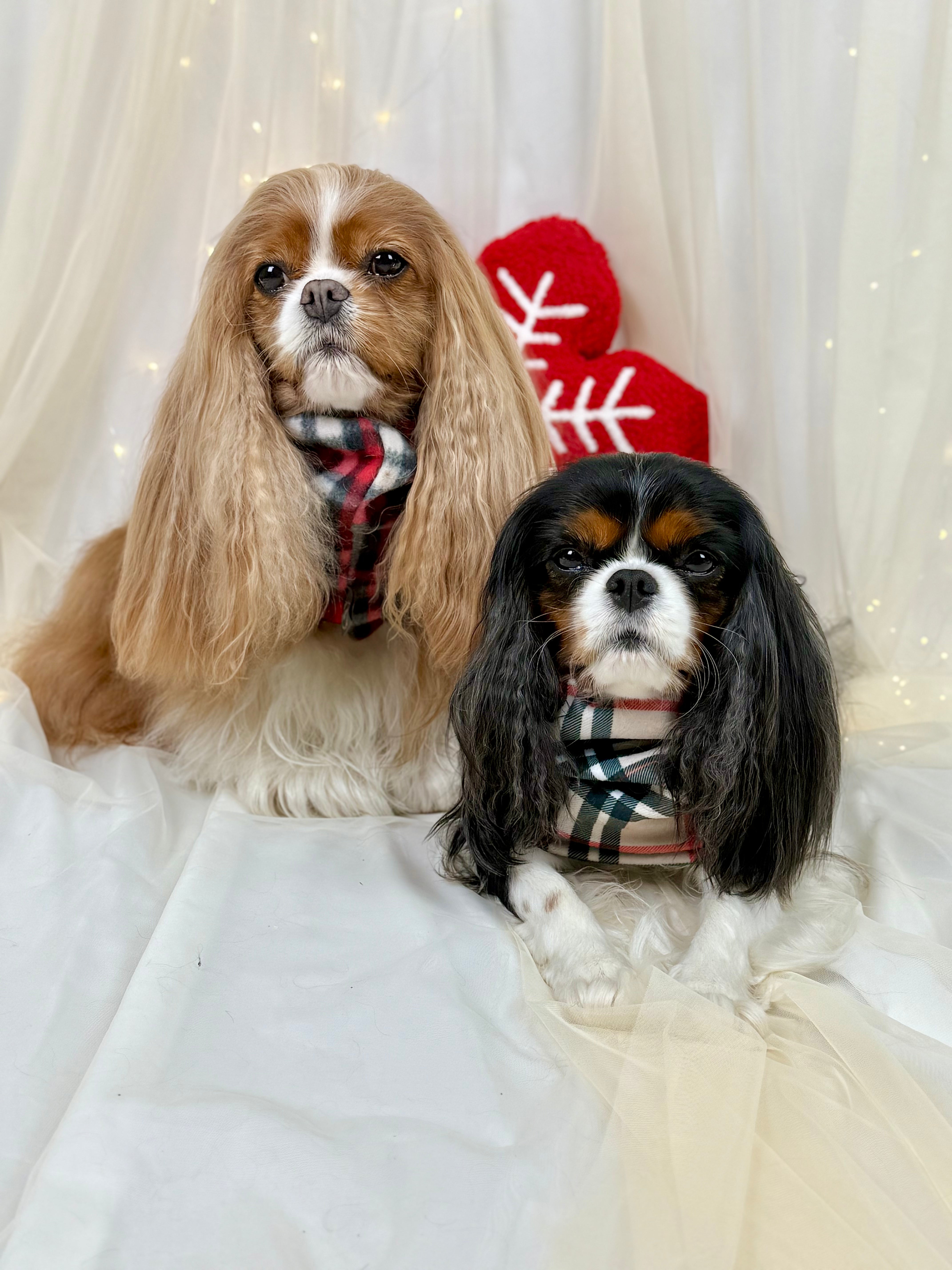 Cozy & Warm Infinity Scarf