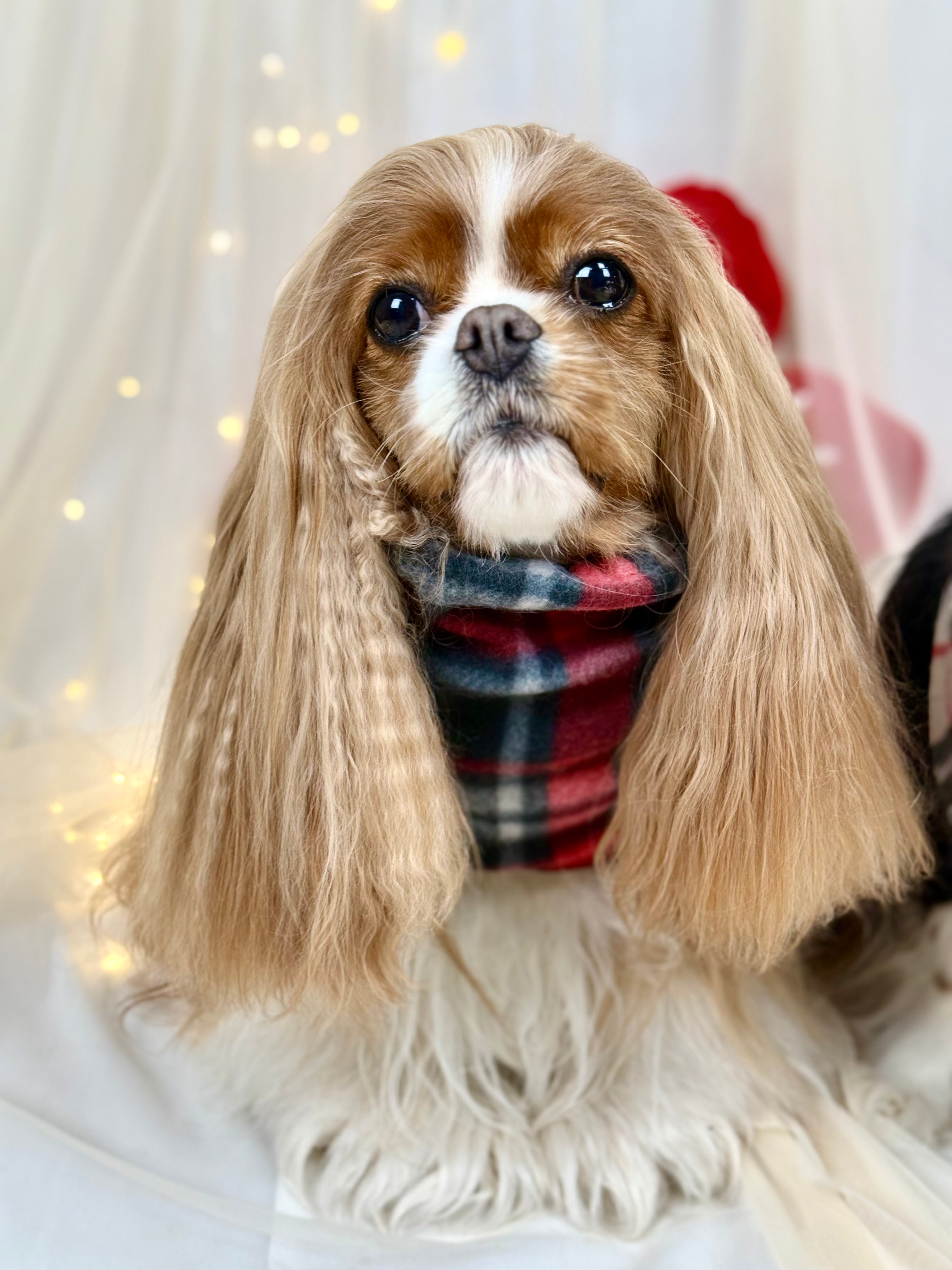 Cozy & Warm Infinity Scarf