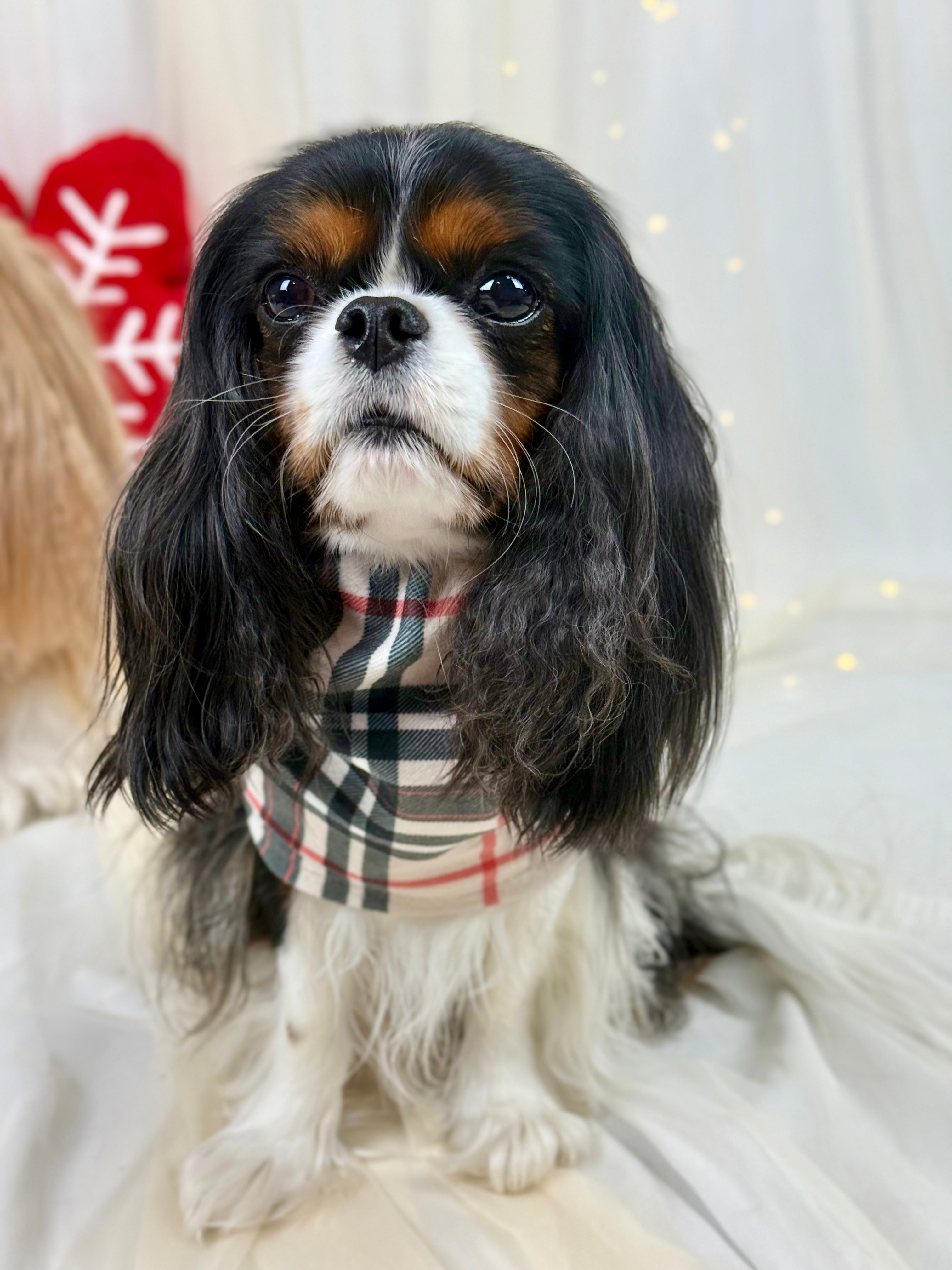 Cozy & Warm Infinity Scarf