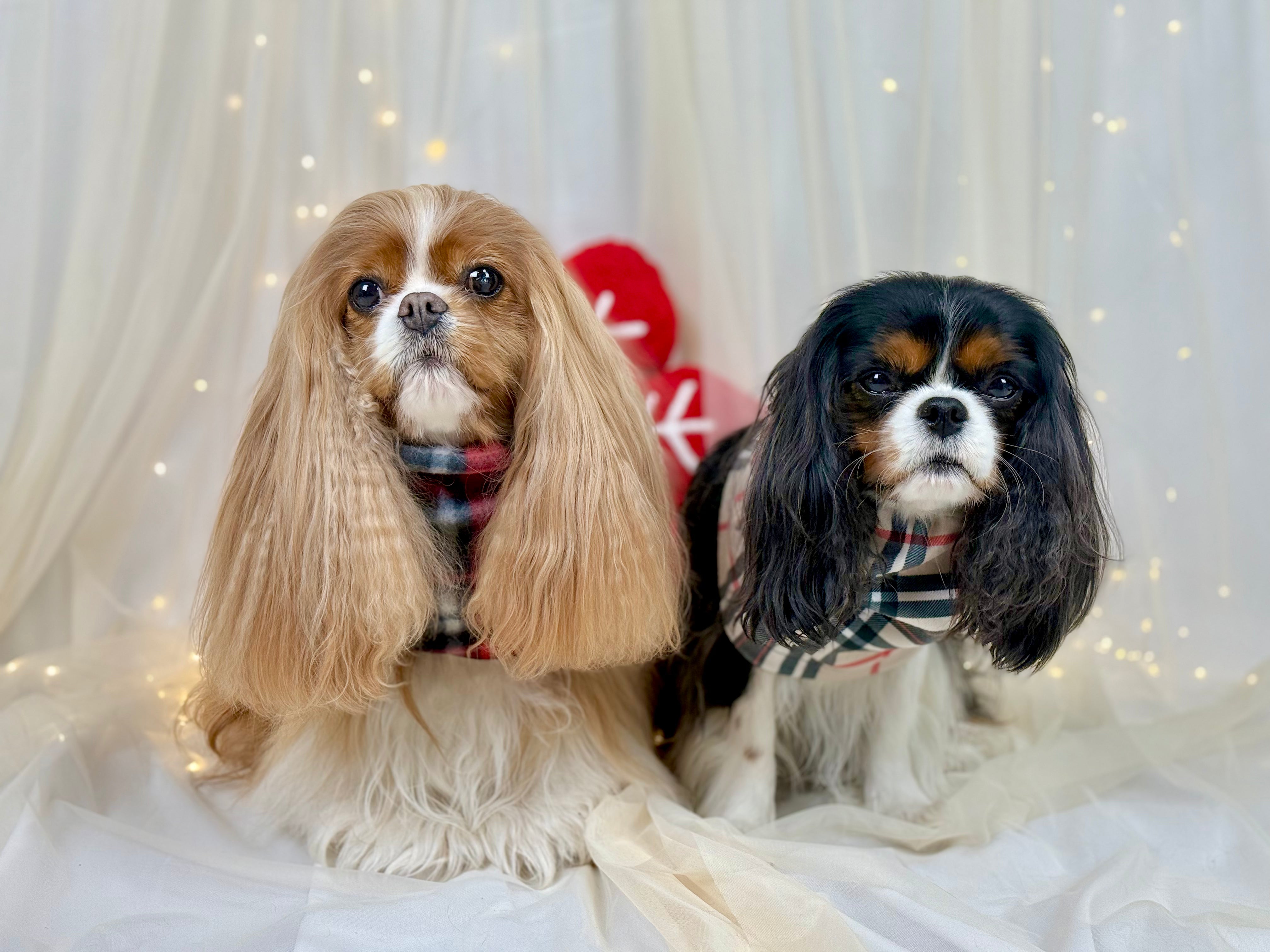 Cozy & Warm Infinity Scarf