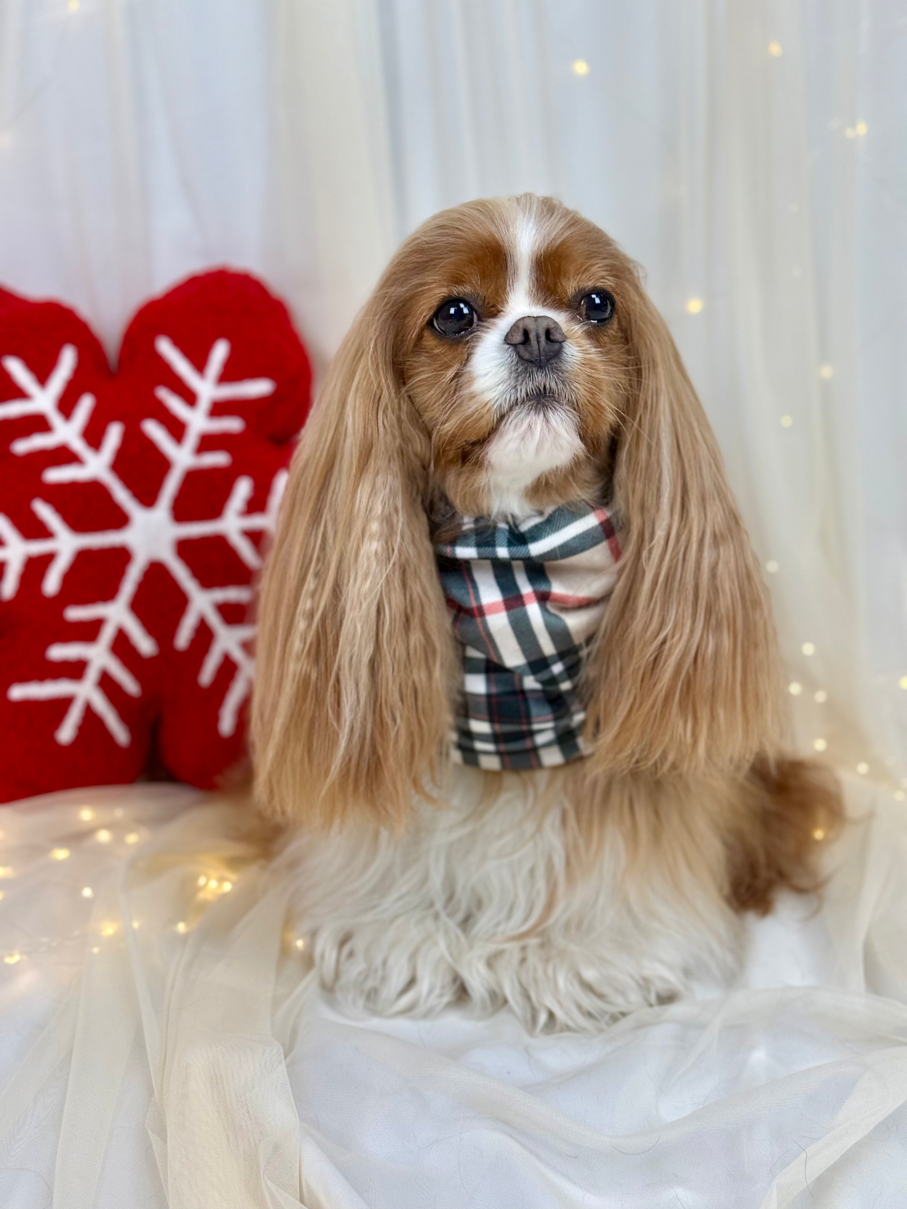 Cozy & Warm Infinity Scarf