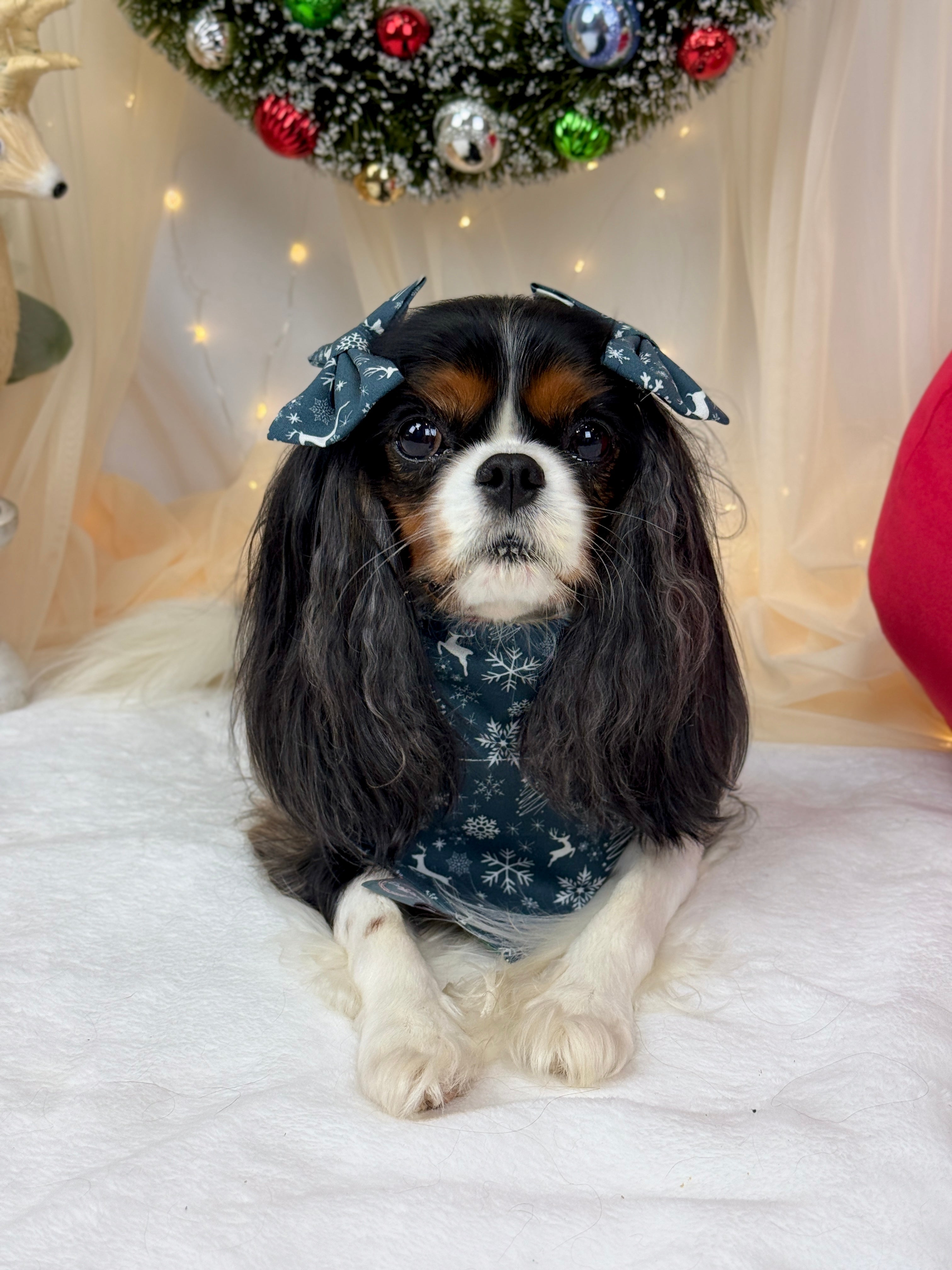 Intermission Wardrobe Change Reversible Bandana - Midnight Winter Garden & Twilight Sleigh Ride