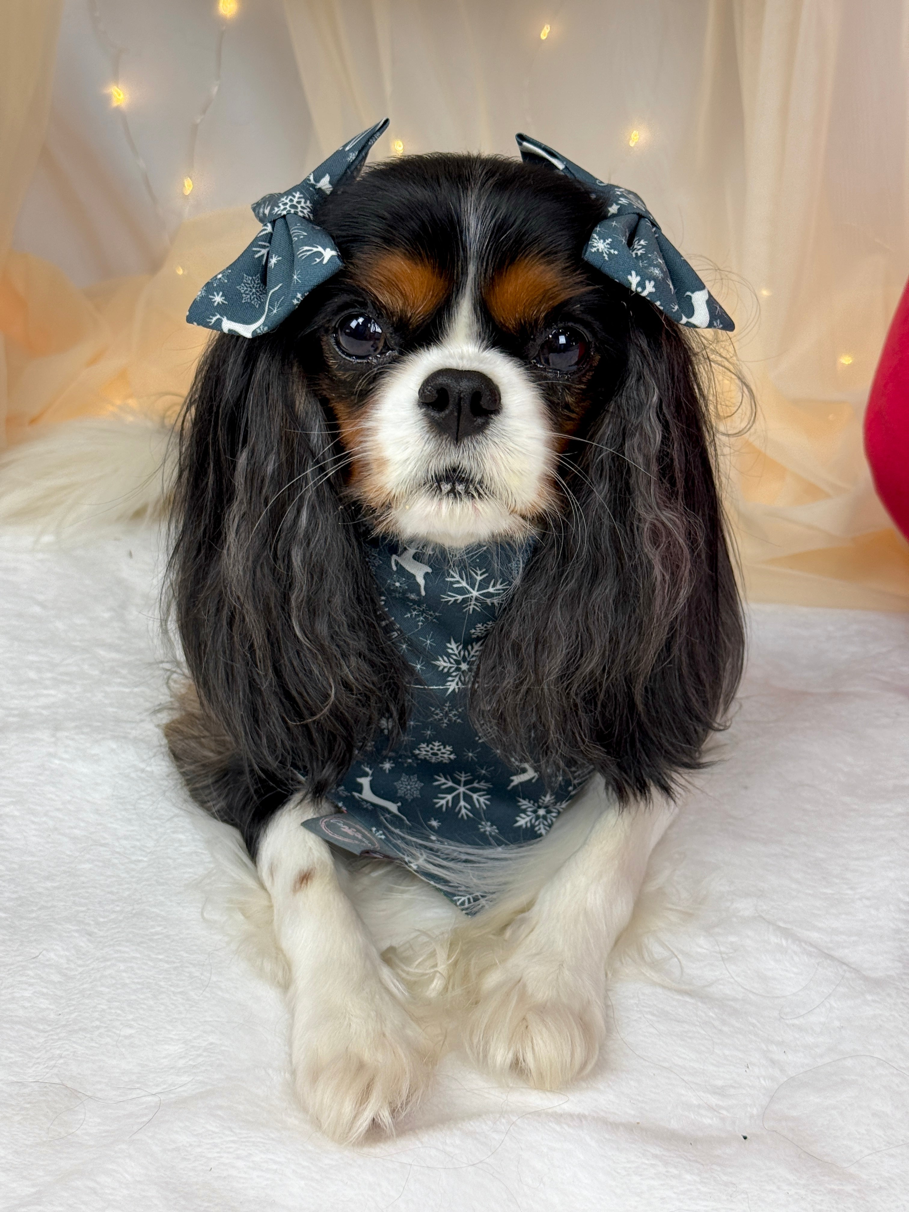 Intermission Wardrobe Change Reversible Bandana - Midnight Winter Garden & Twilight Sleigh Ride