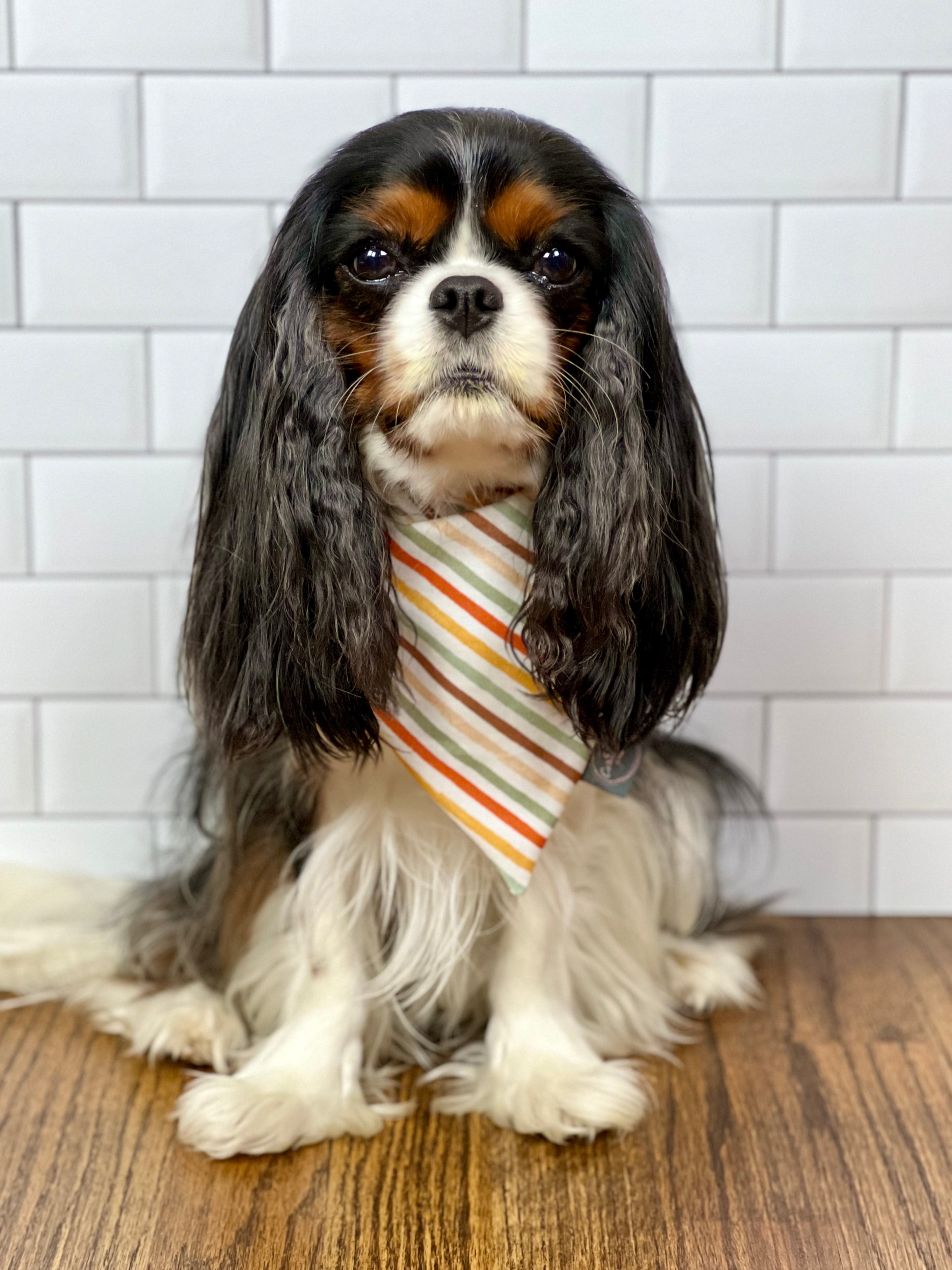 Intermission Wardrobe Change Reversible Bandana - Fall Foliage & Fall Stripes