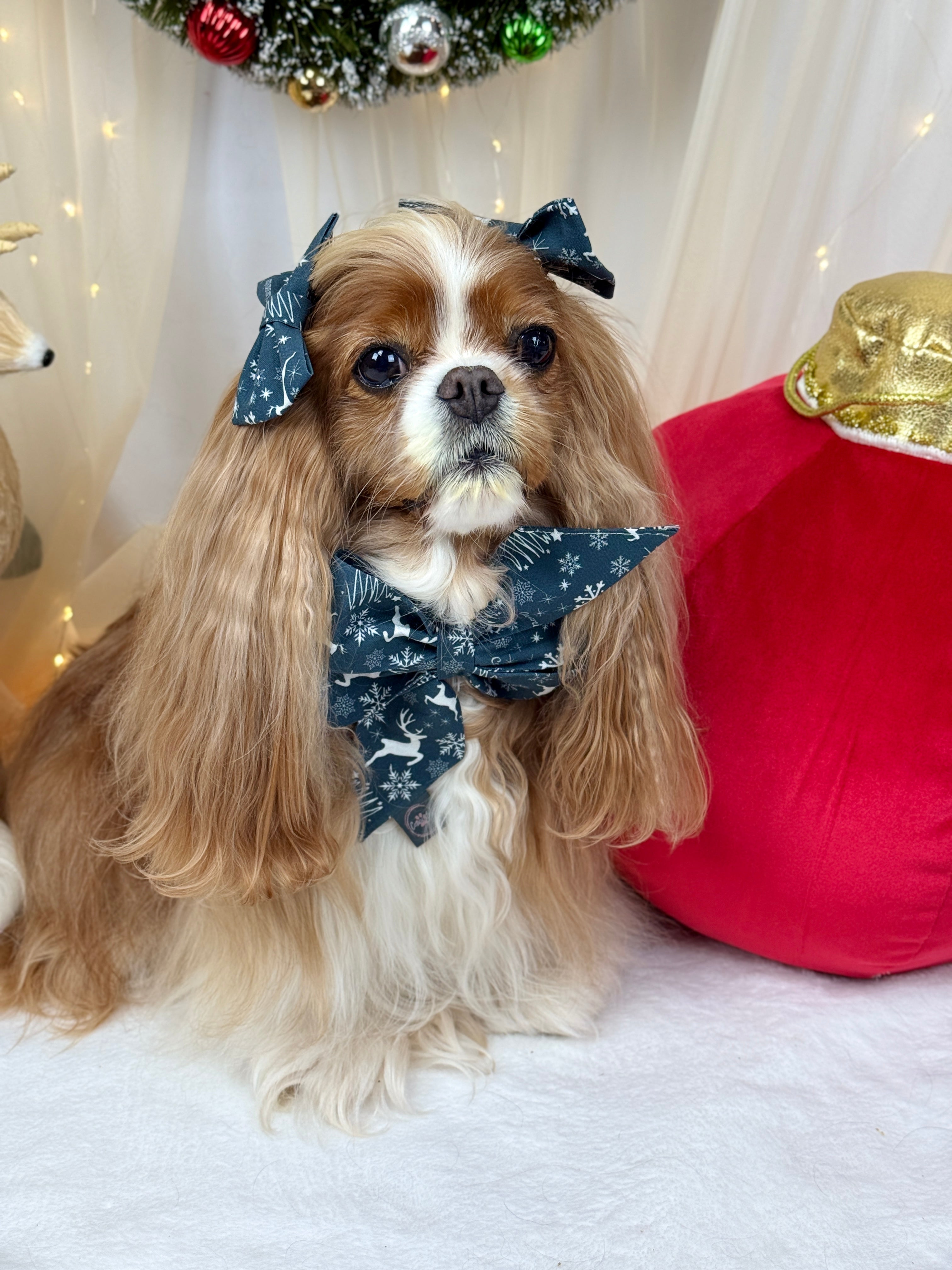 Strike a Pose Bow - Midnight Winter Garden or Twilight Sleigh Ride