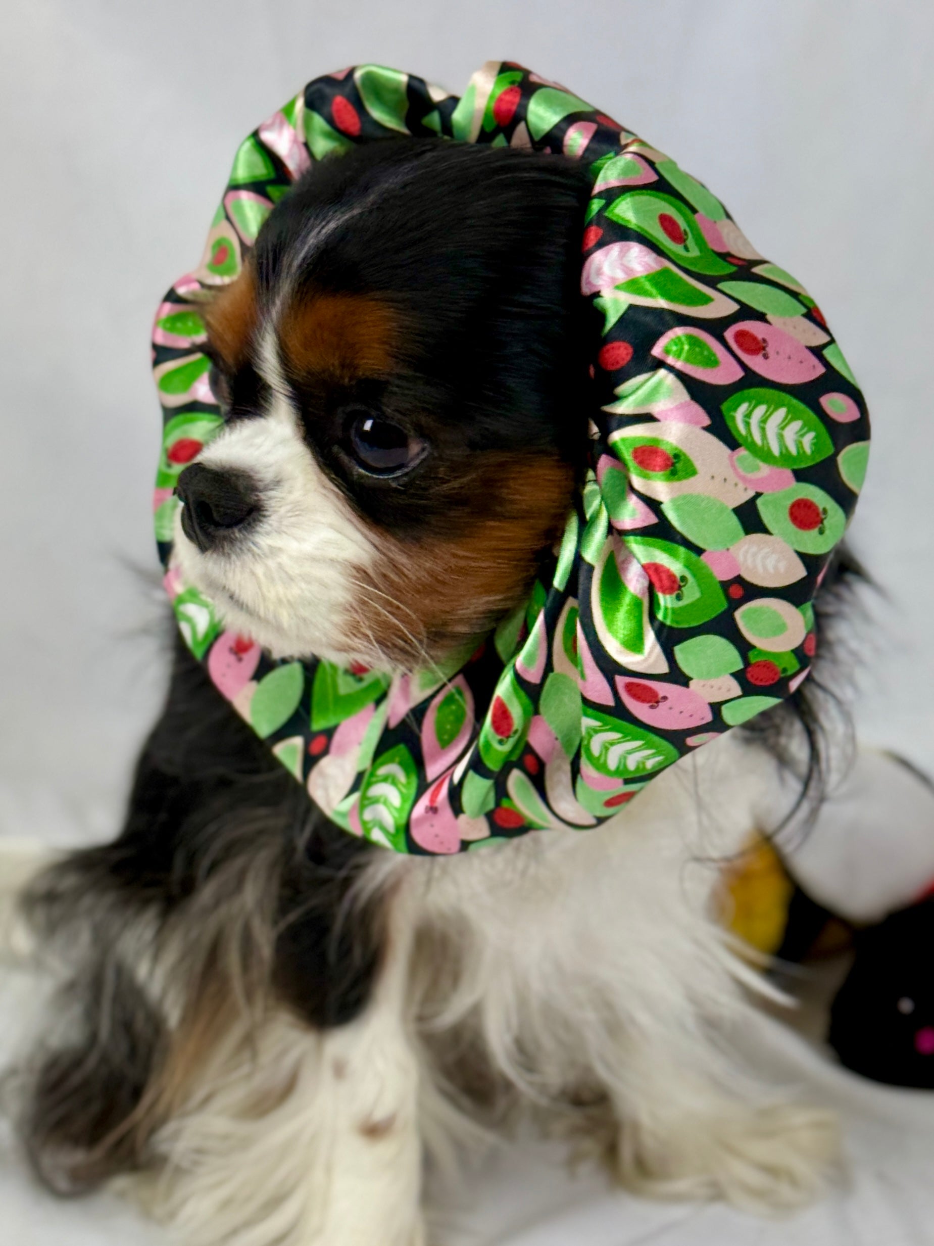 The Long-Ear Struggles are Real Snood - Ladybug Lane