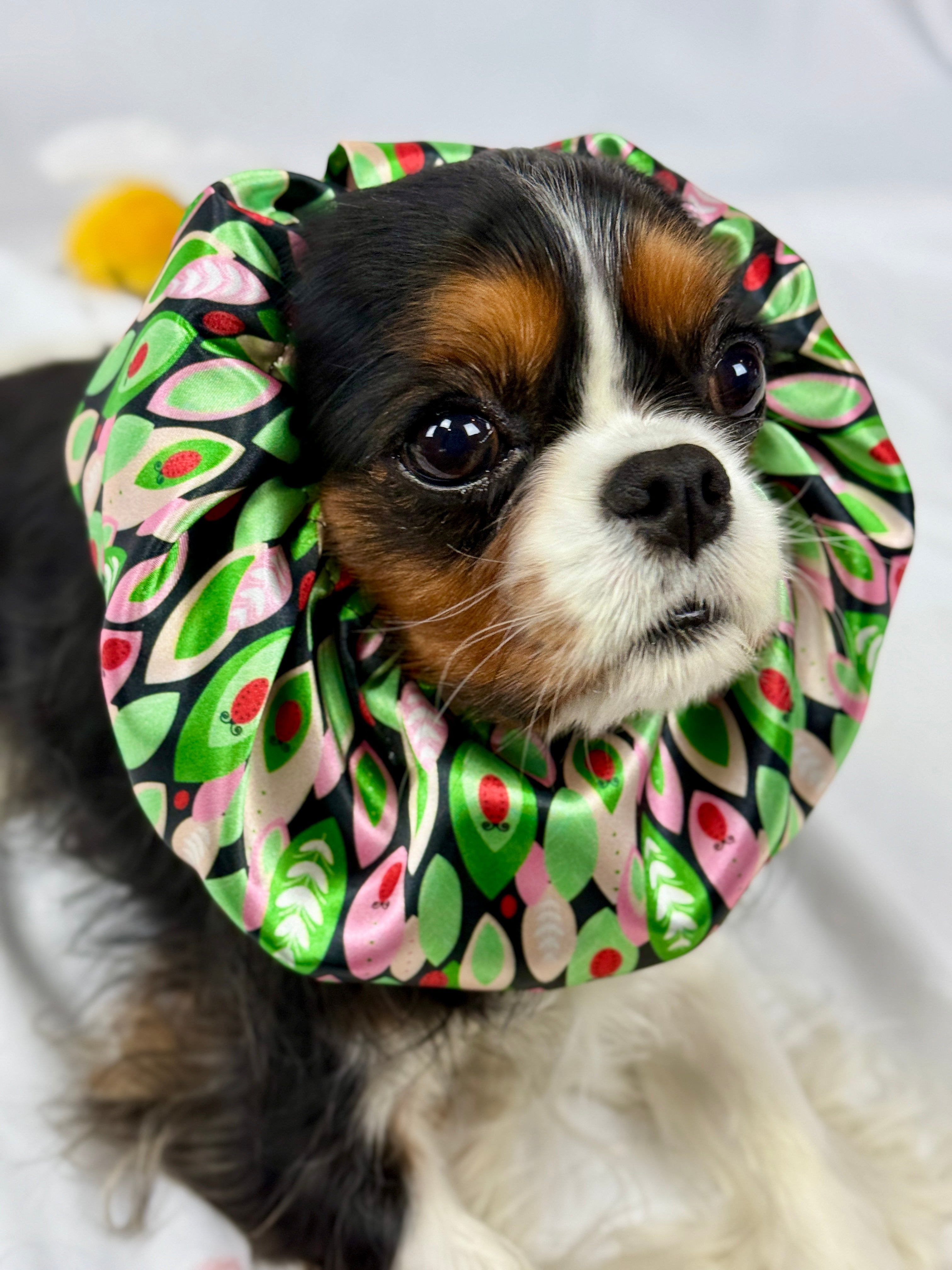 The Long-Ear Struggles are Real Snood - Ladybug Lane