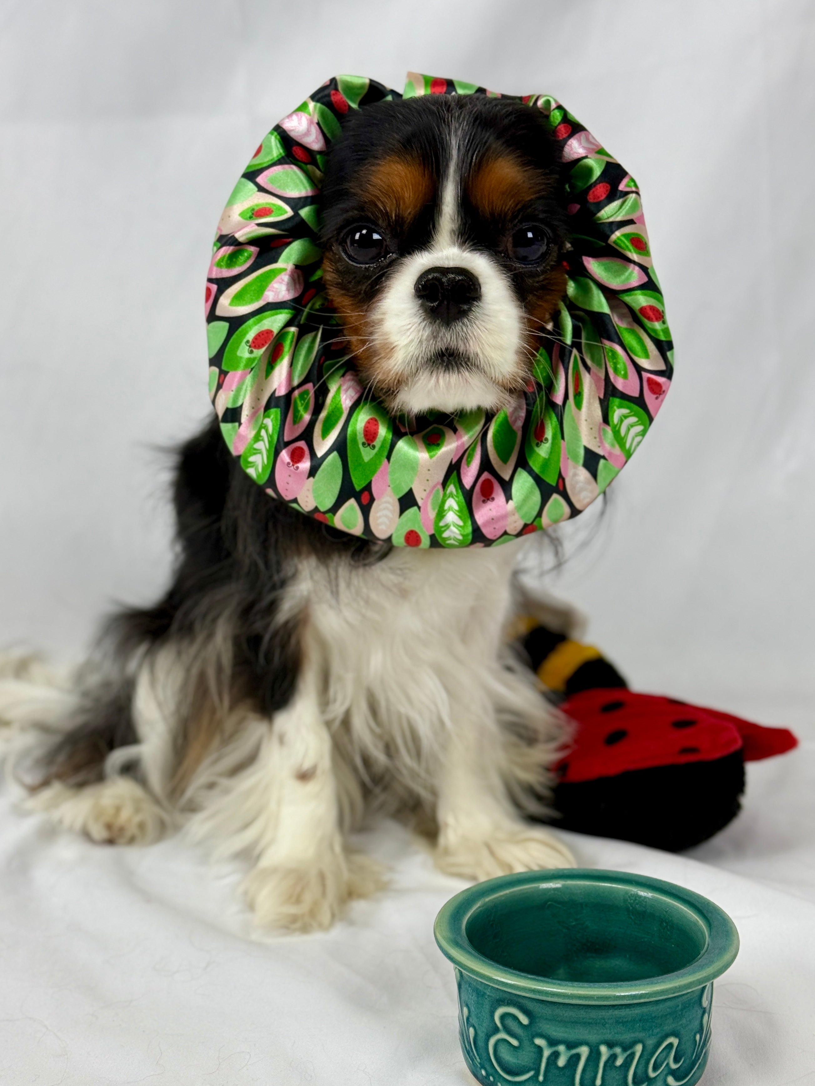 The Long-Ear Struggles are Real Snood - Ladybug Lane