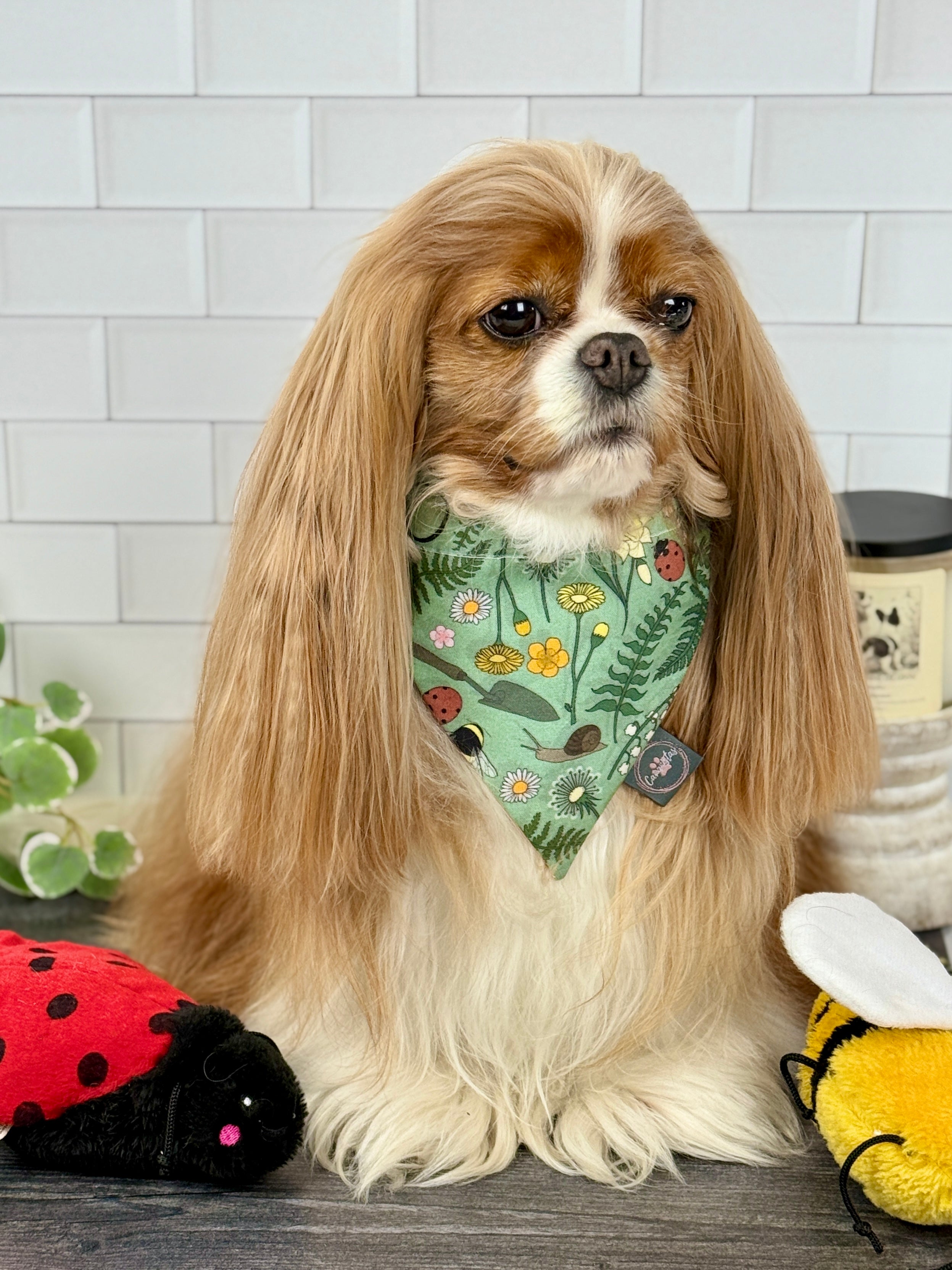 Intermission Wardrobe Change Reversible Bandana - My Little Garden & Dandelion Wishes