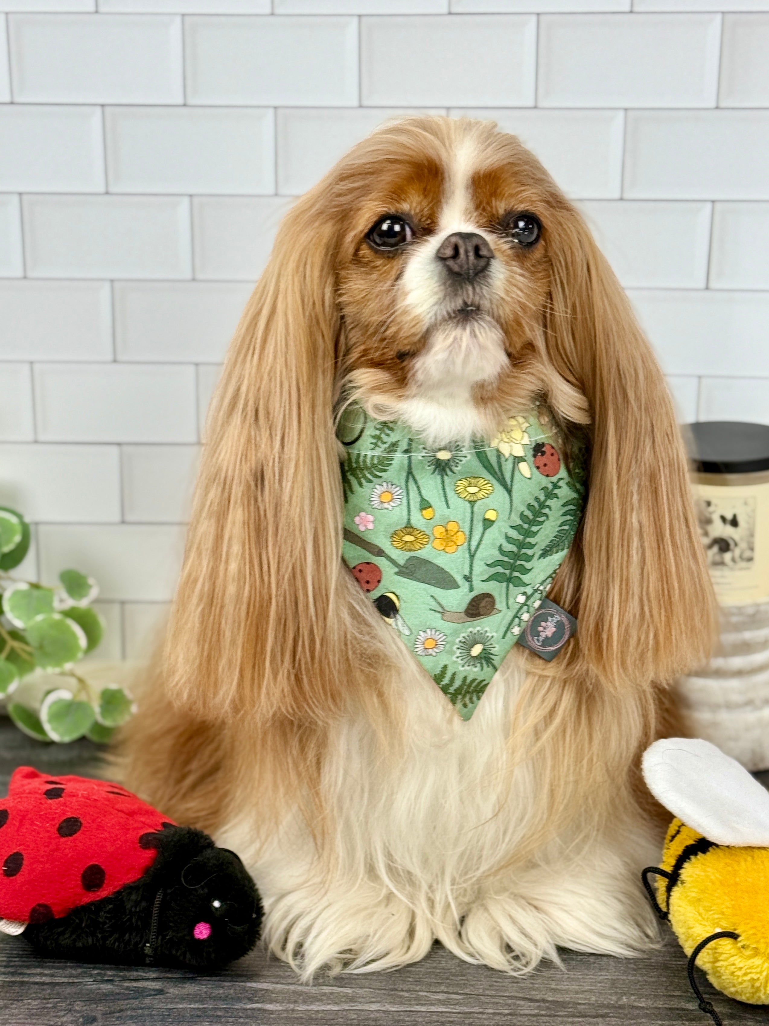 Intermission Wardrobe Change Reversible Bandana - My Little Garden & Dandelion Wishes