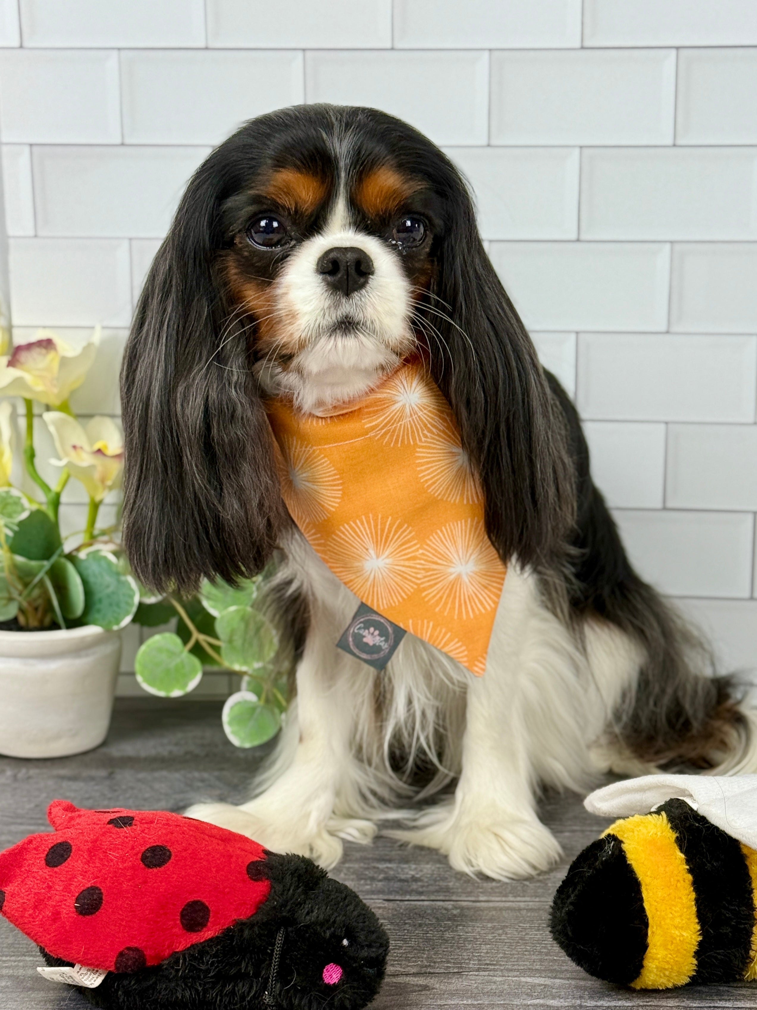 Intermission Wardrobe Change Reversible Bandana - My Little Garden & Dandelion Wishes