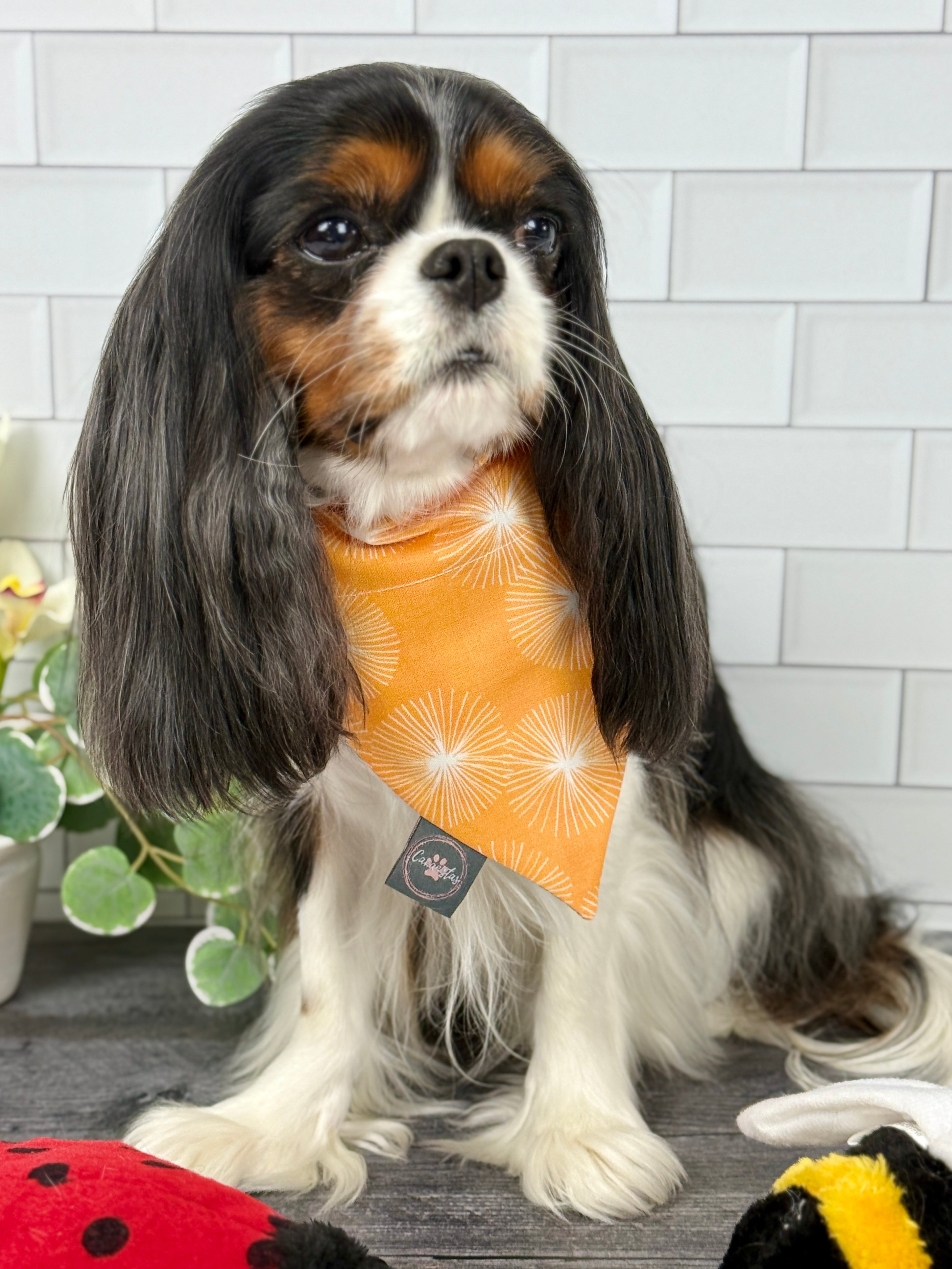 Intermission Wardrobe Change Reversible Bandana - My Little Garden & Dandelion Wishes