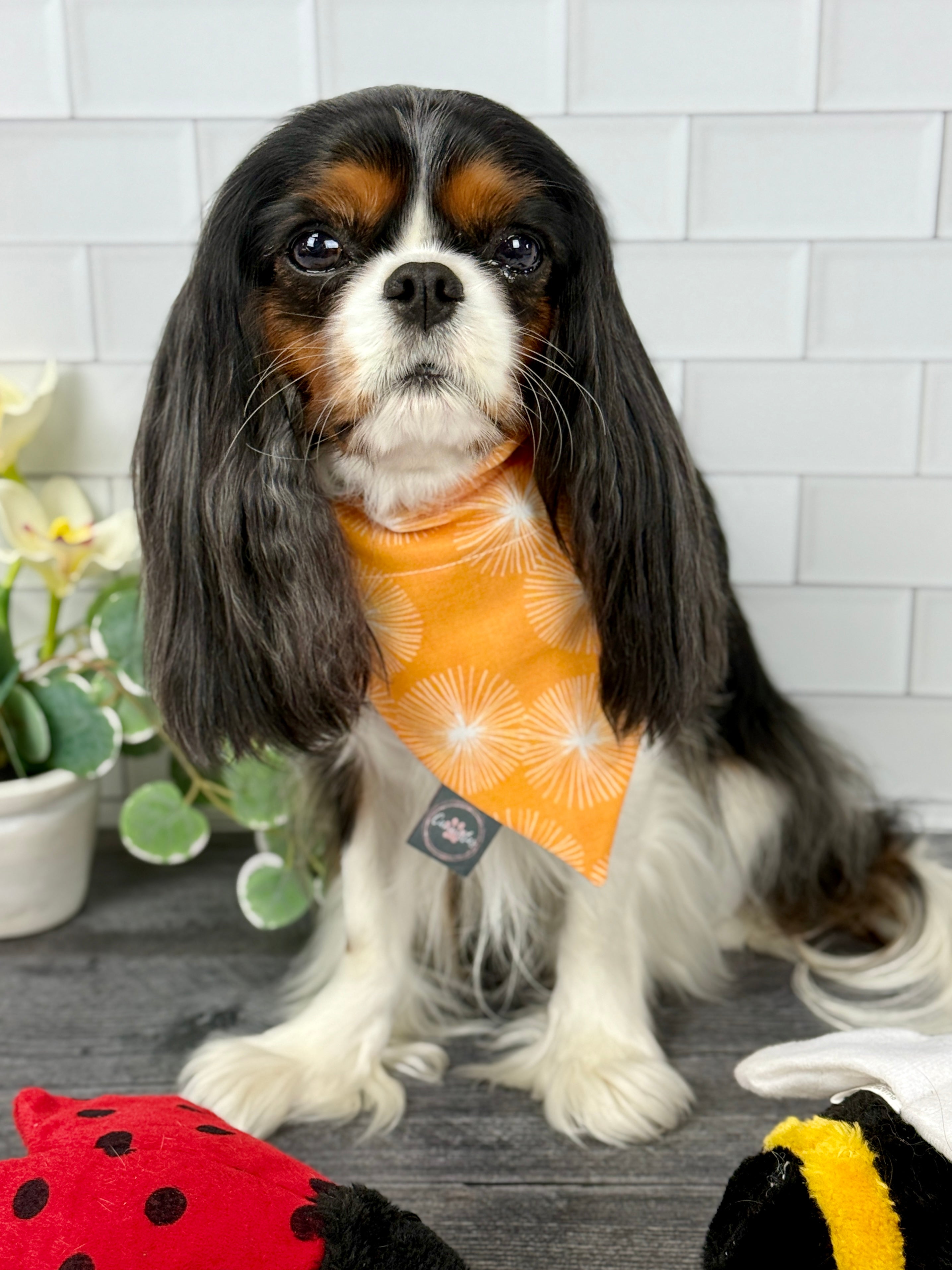 Intermission Wardrobe Change Reversible Bandana - My Little Garden & Dandelion Wishes