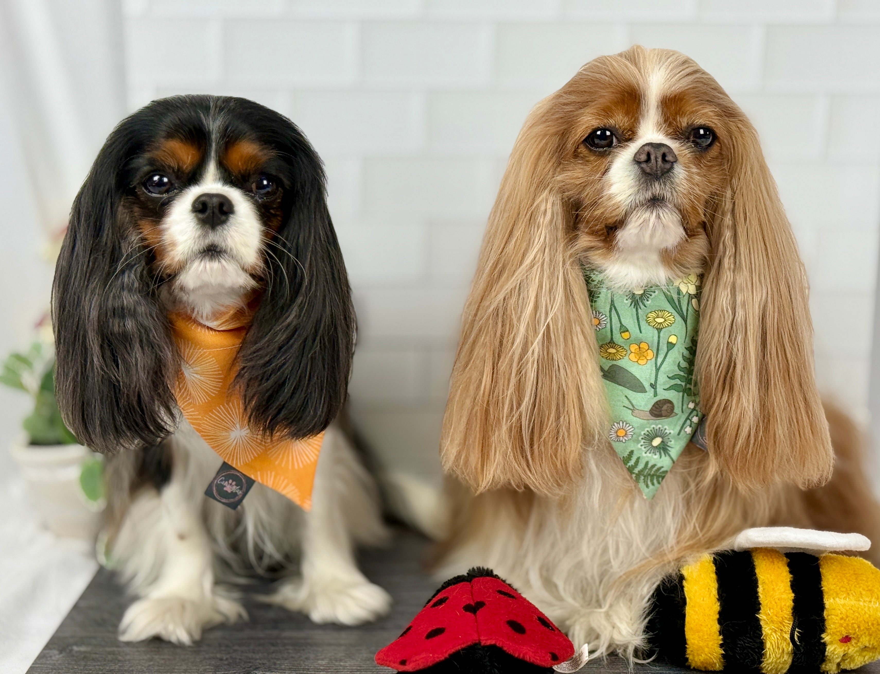 Intermission Wardrobe Change Reversible Bandana - My Little Garden & Dandelion Wishes