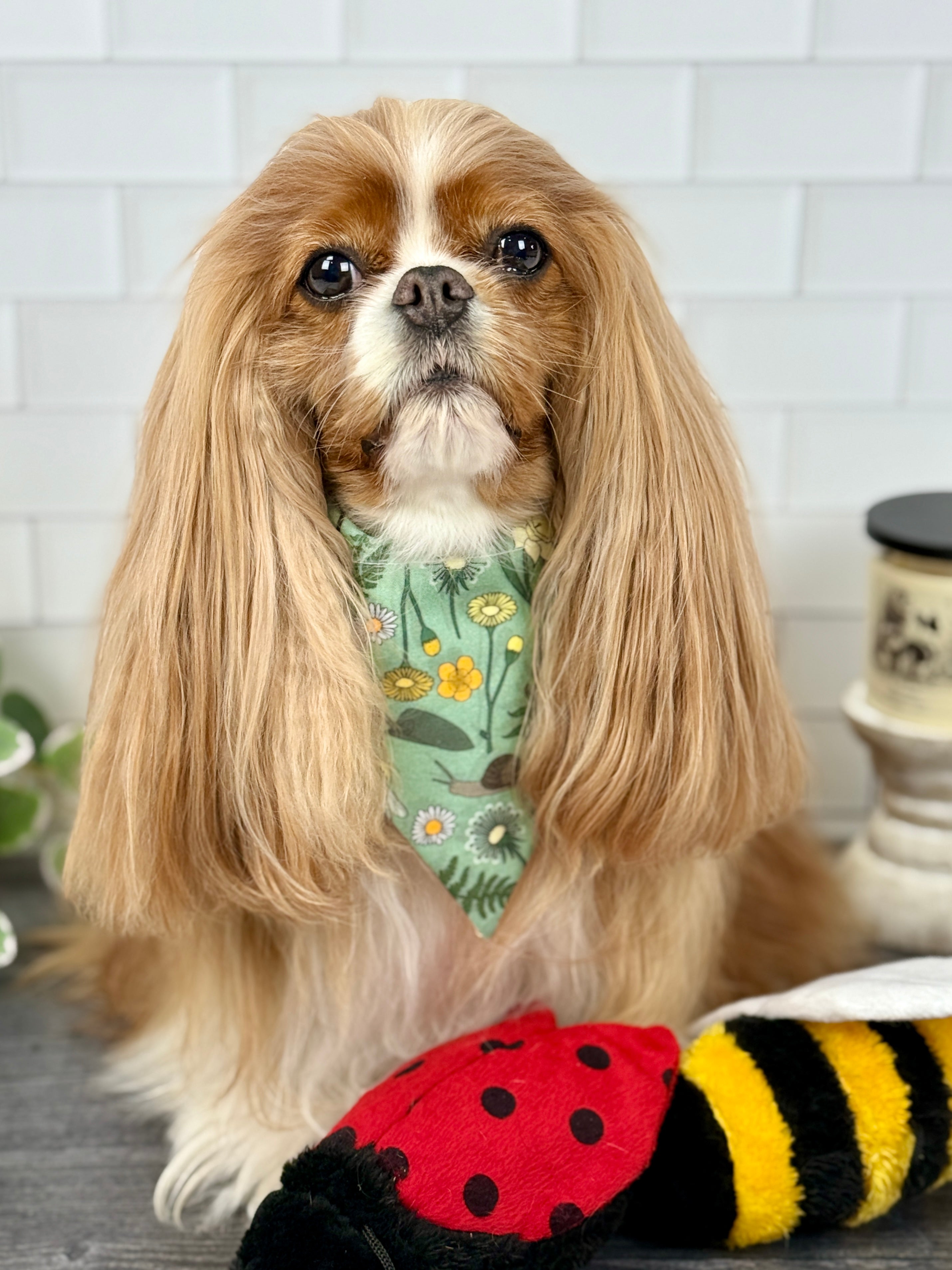 Intermission Wardrobe Change Reversible Bandana - My Little Garden & Dandelion Wishes