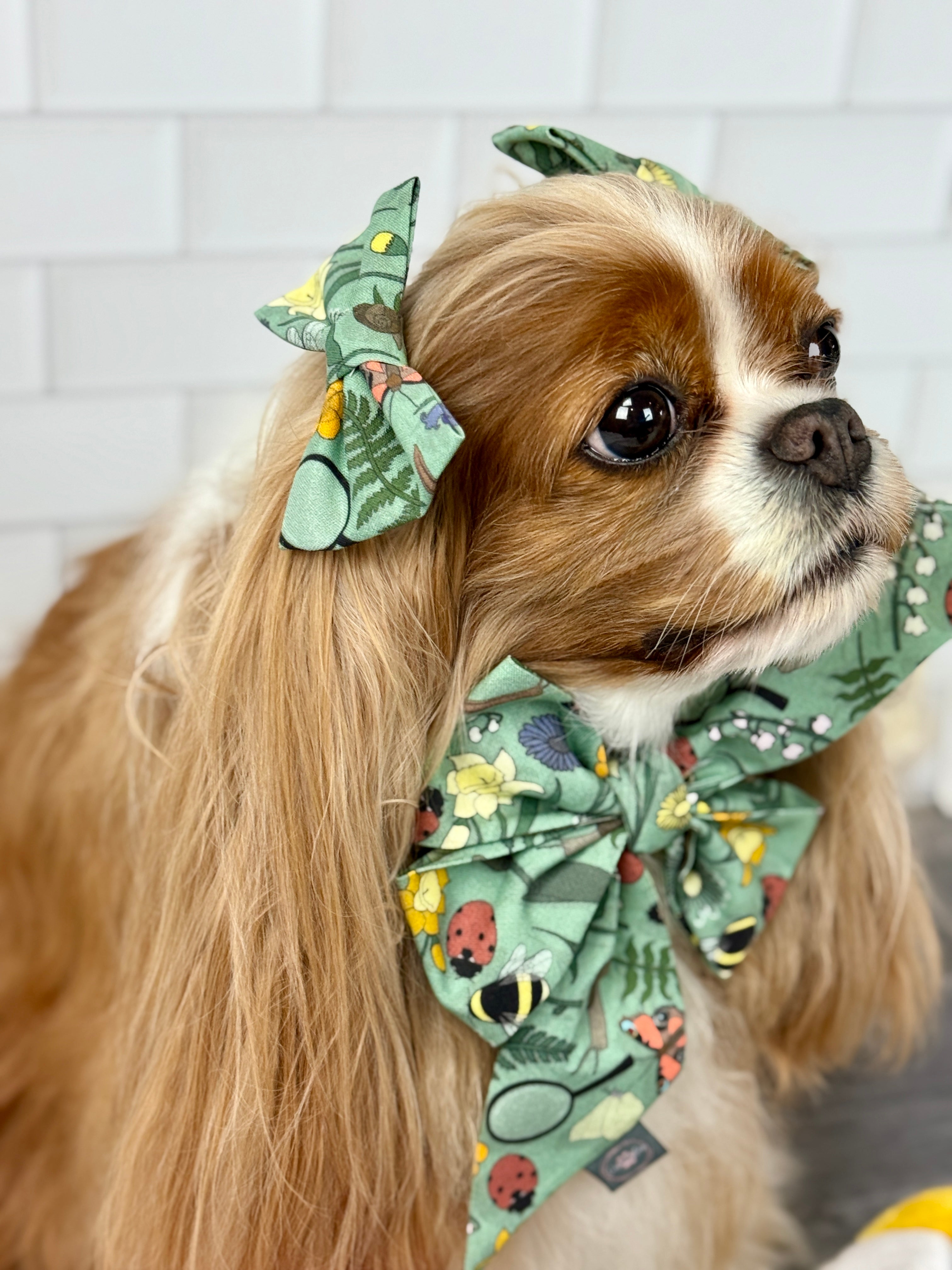 Accessories are a Must Hair Bows - My Little Garden & Dandelion Wishes
