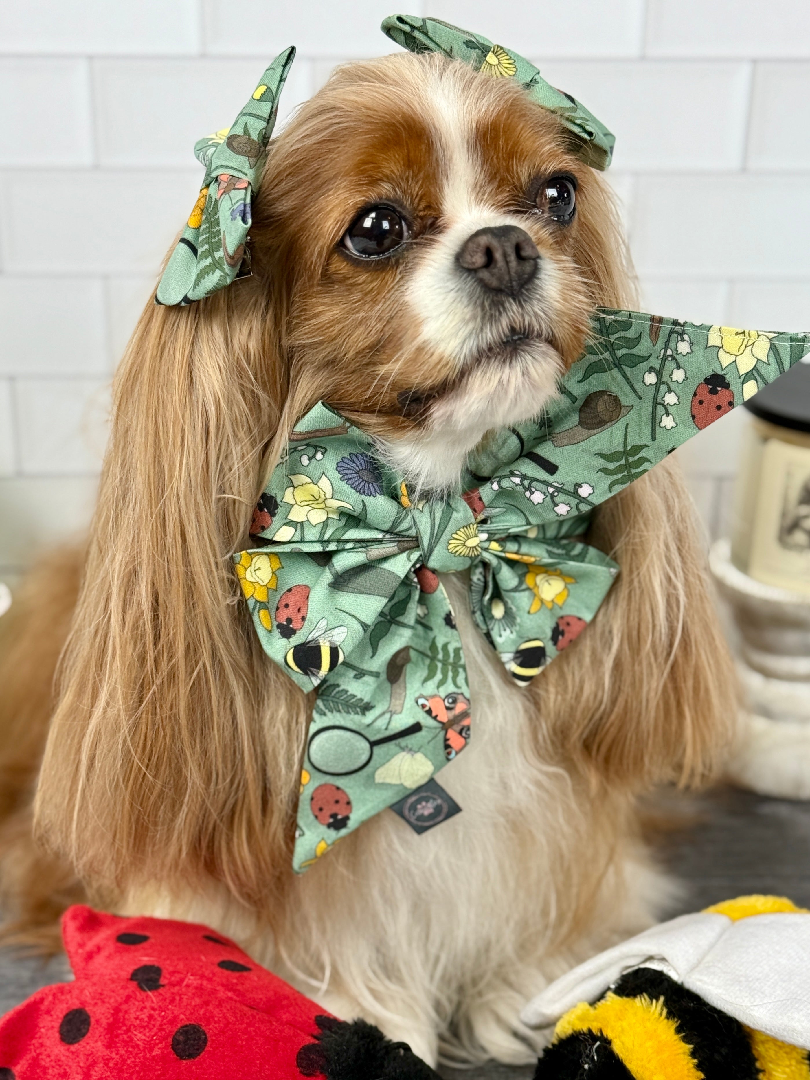 Strike a Pose Bow - My Little Garden & Dandelion Wishes