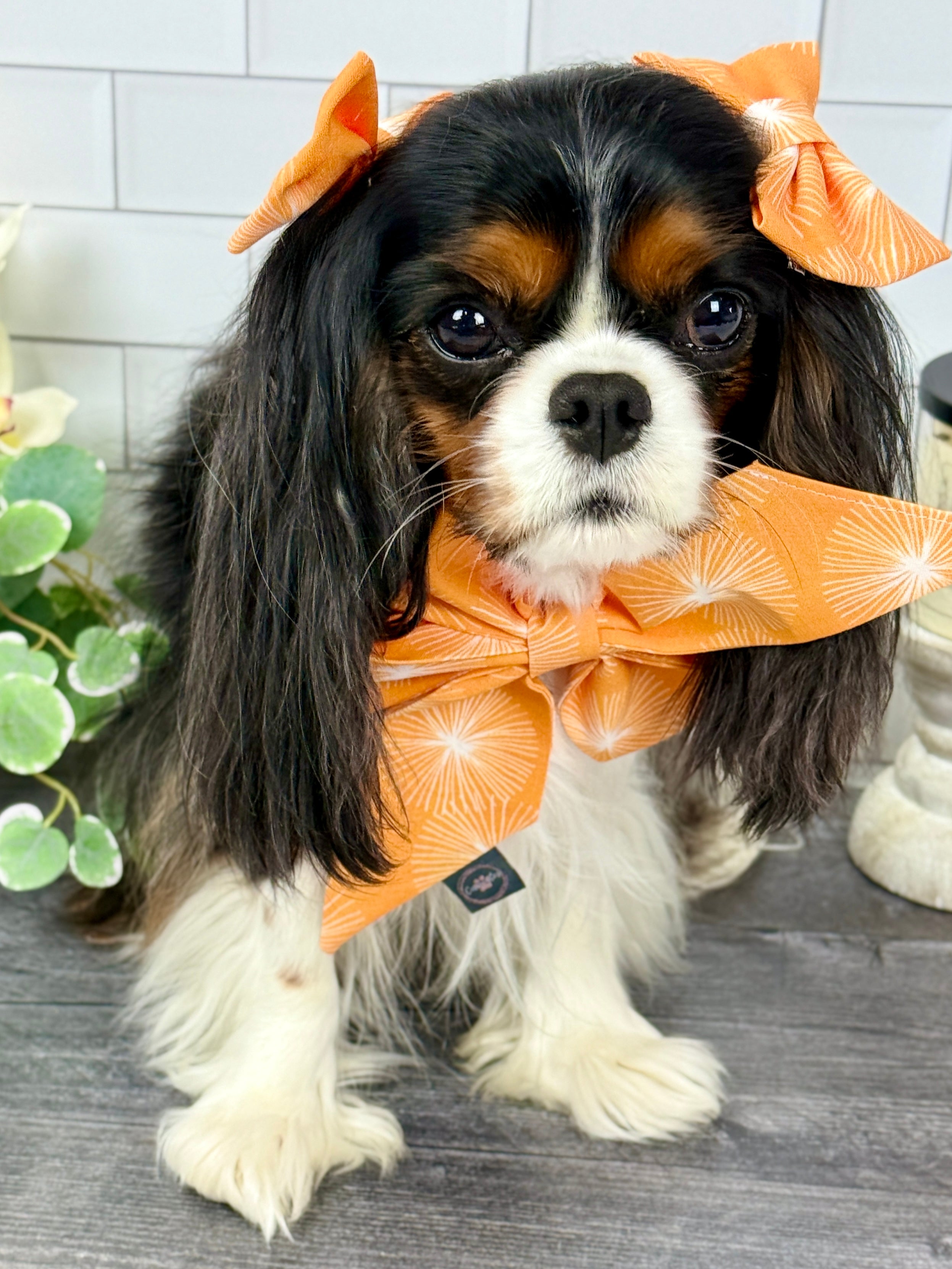 Accessories are a Must Hair Bows - My Little Garden & Dandelion Wishes