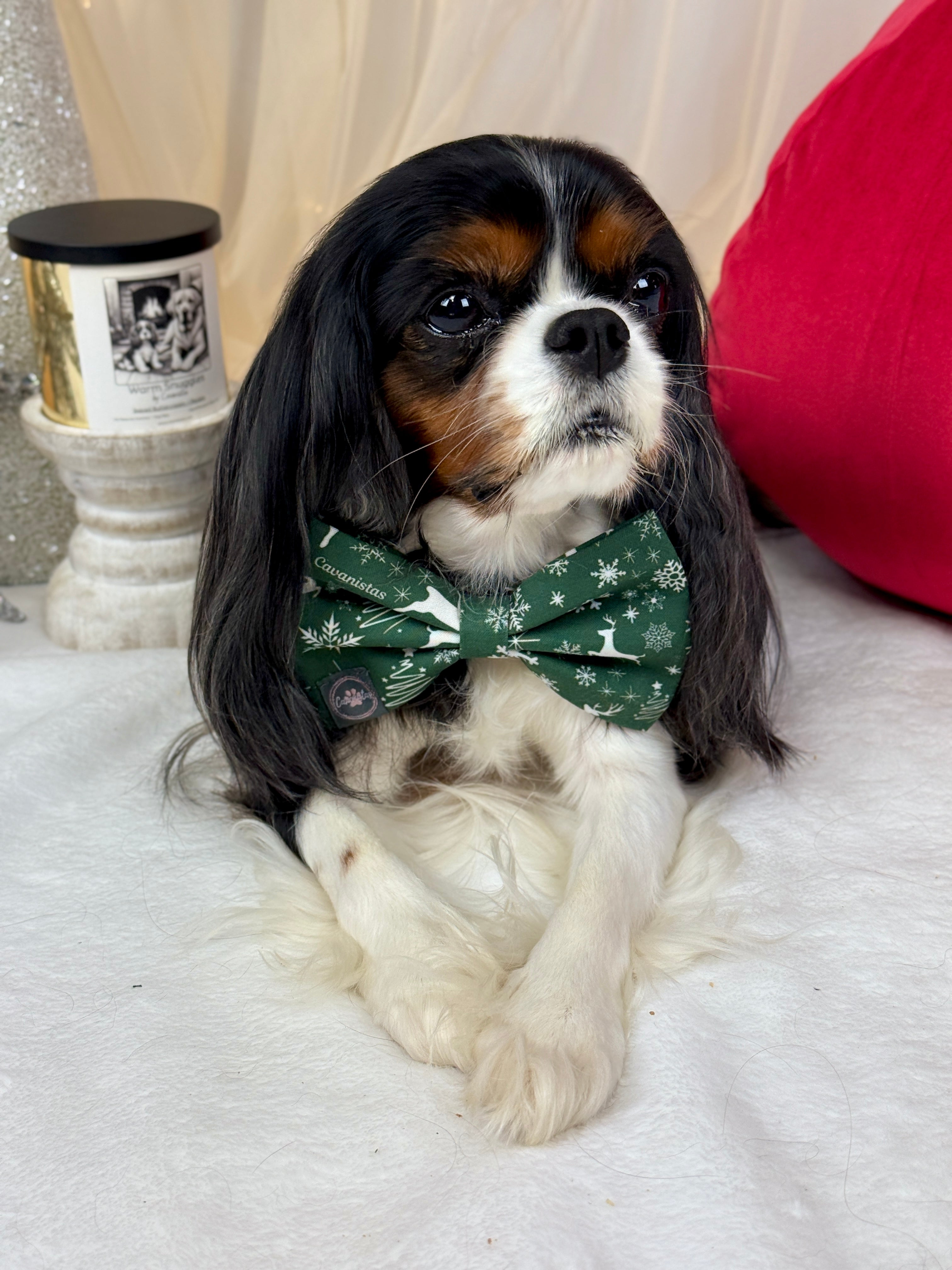 Dressed to Impress Bow Tie - Crimson Winter Garden or Evergreen Sleigh Ride