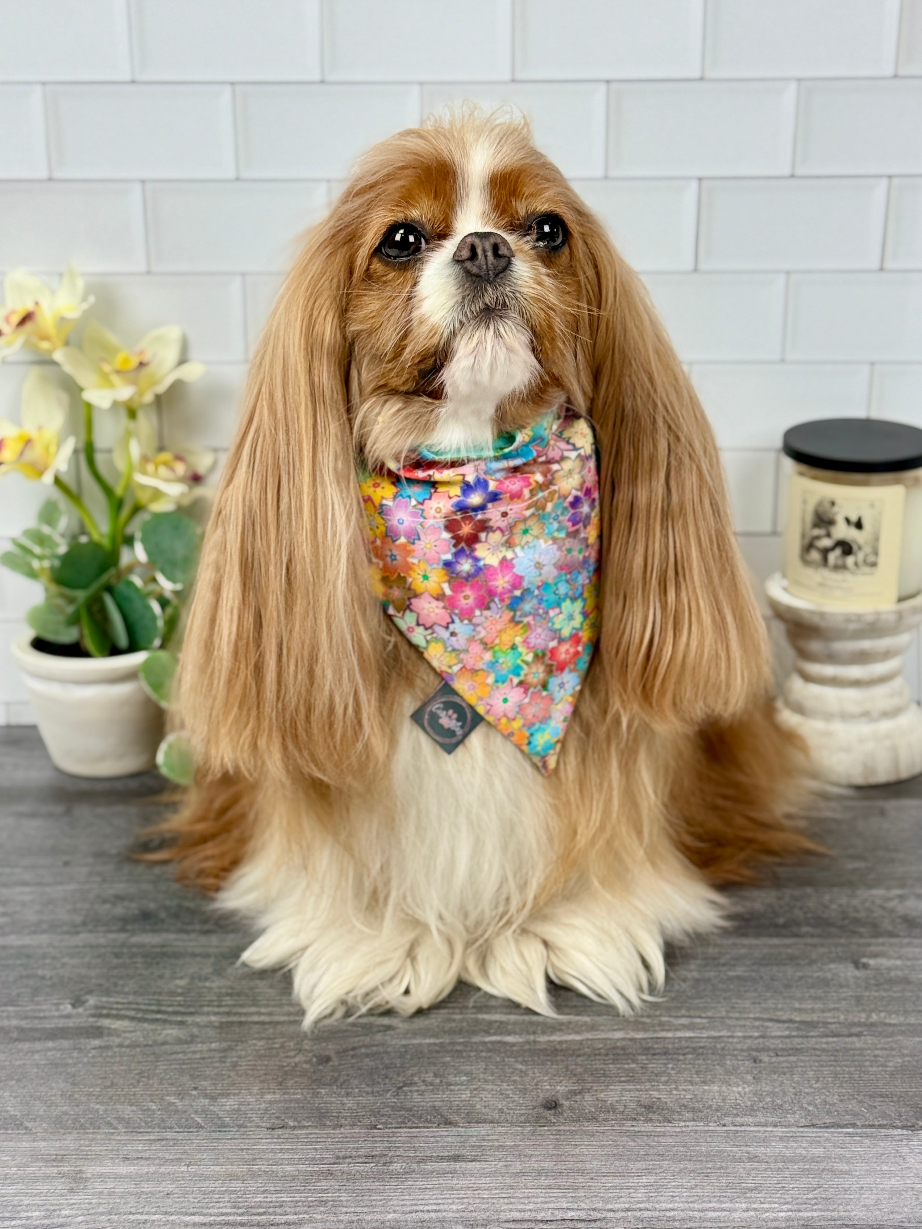 Intermission Wardrobe Change Reversible Bandana - Sakura Skies & Cherry Blossom Confetti