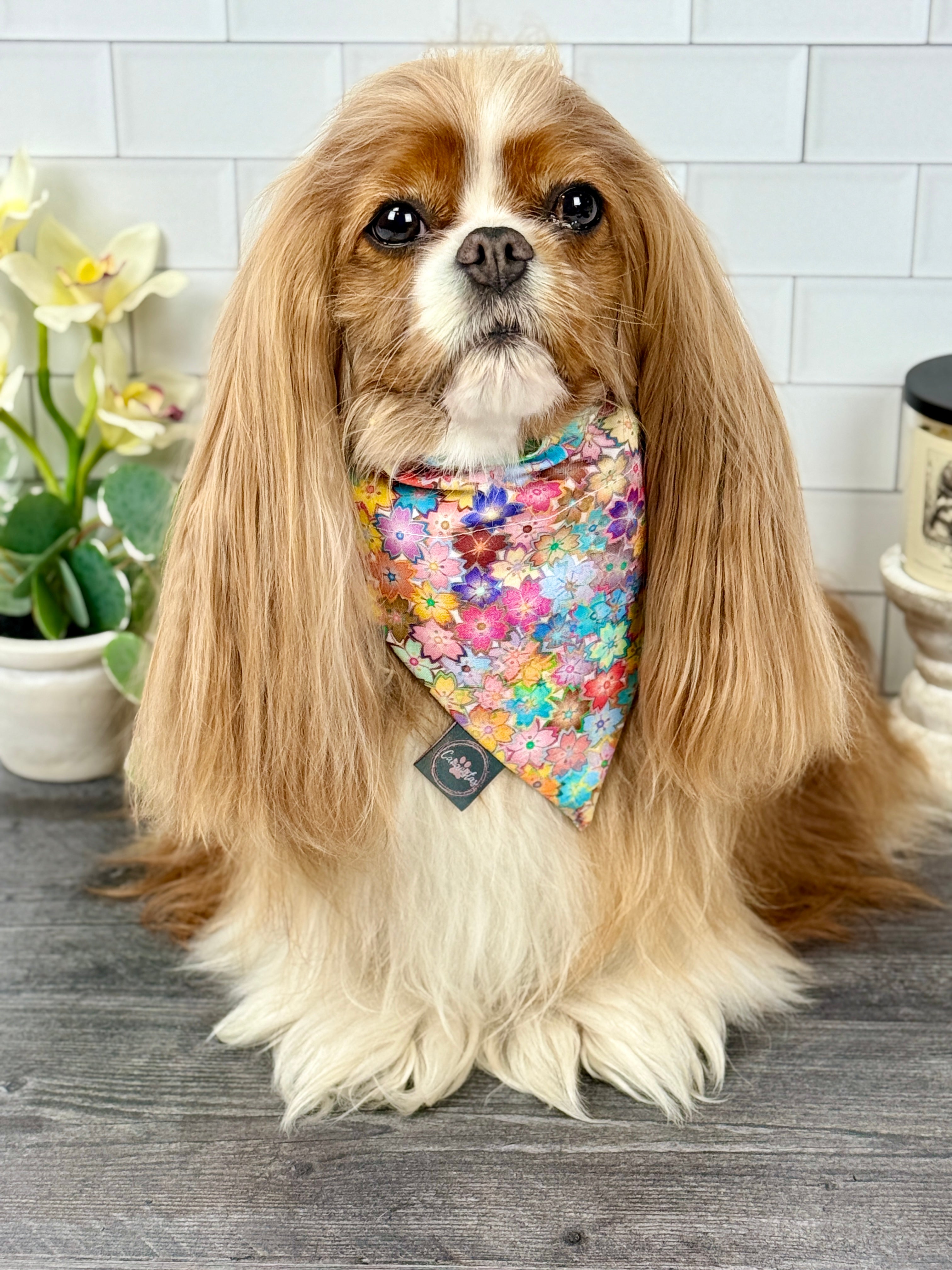 Intermission Wardrobe Change Reversible Bandana - Sakura Skies & Cherry Blossom Confetti
