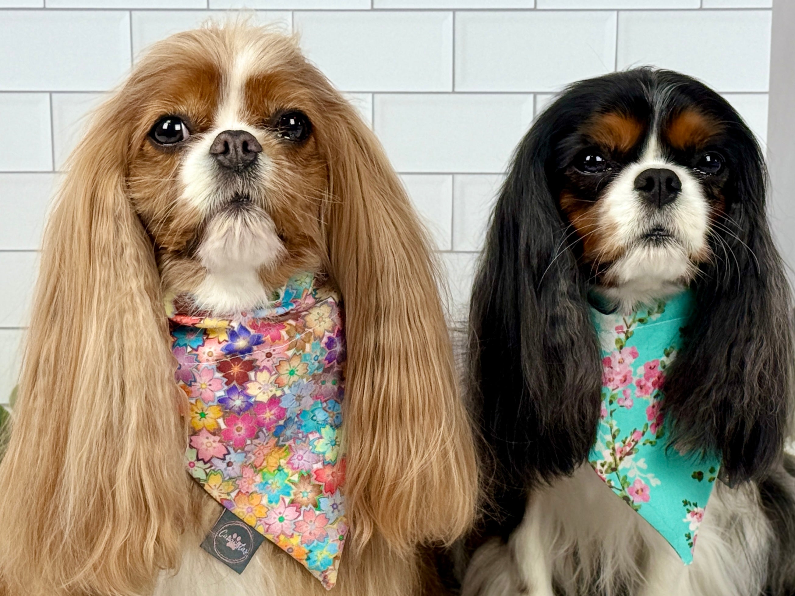 Intermission Wardrobe Change Reversible Bandana - Sakura Skies & Cherry Blossom Confetti