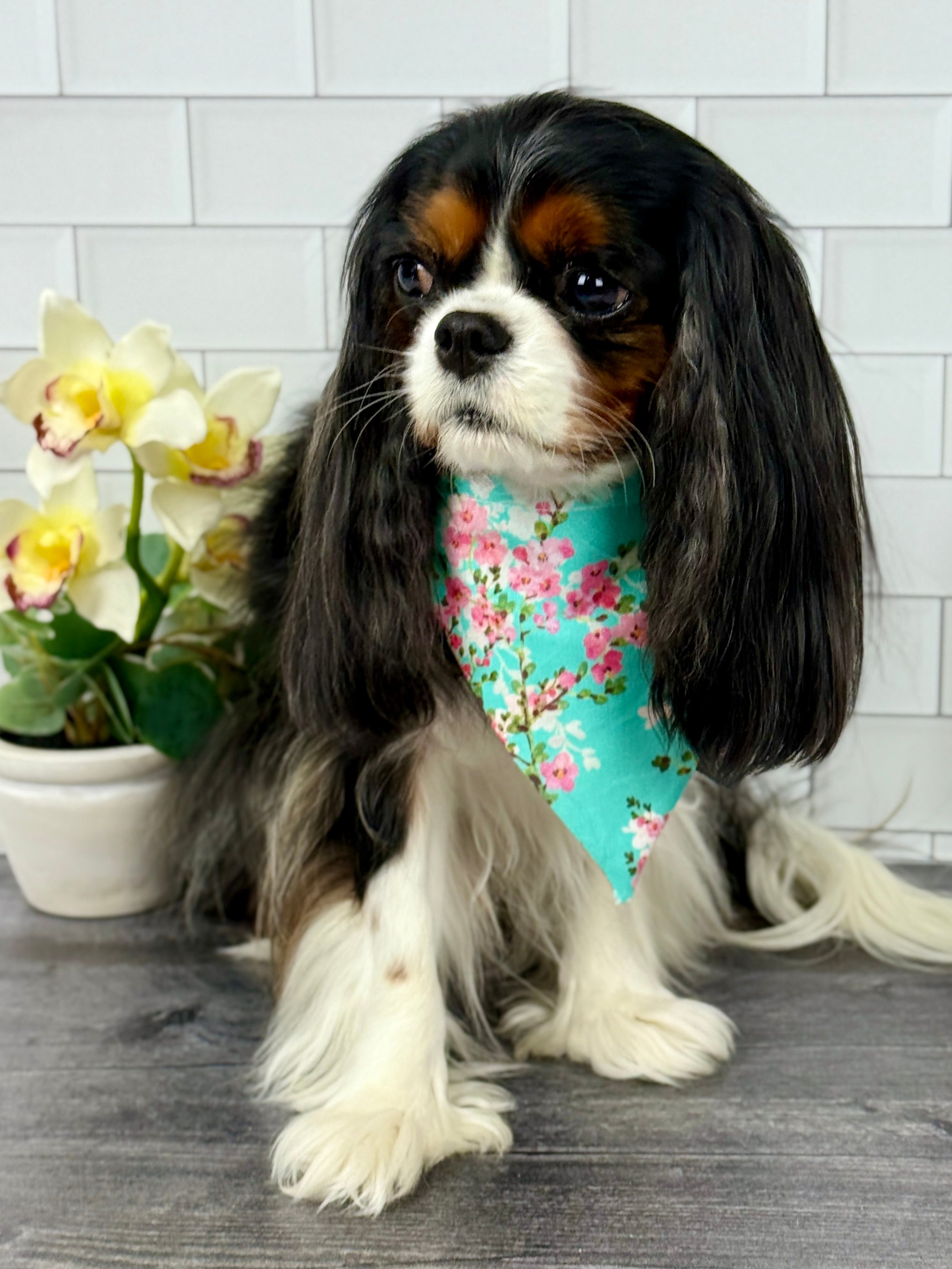 Intermission Wardrobe Change Reversible Bandana - Sakura Skies & Cherry Blossom Confetti