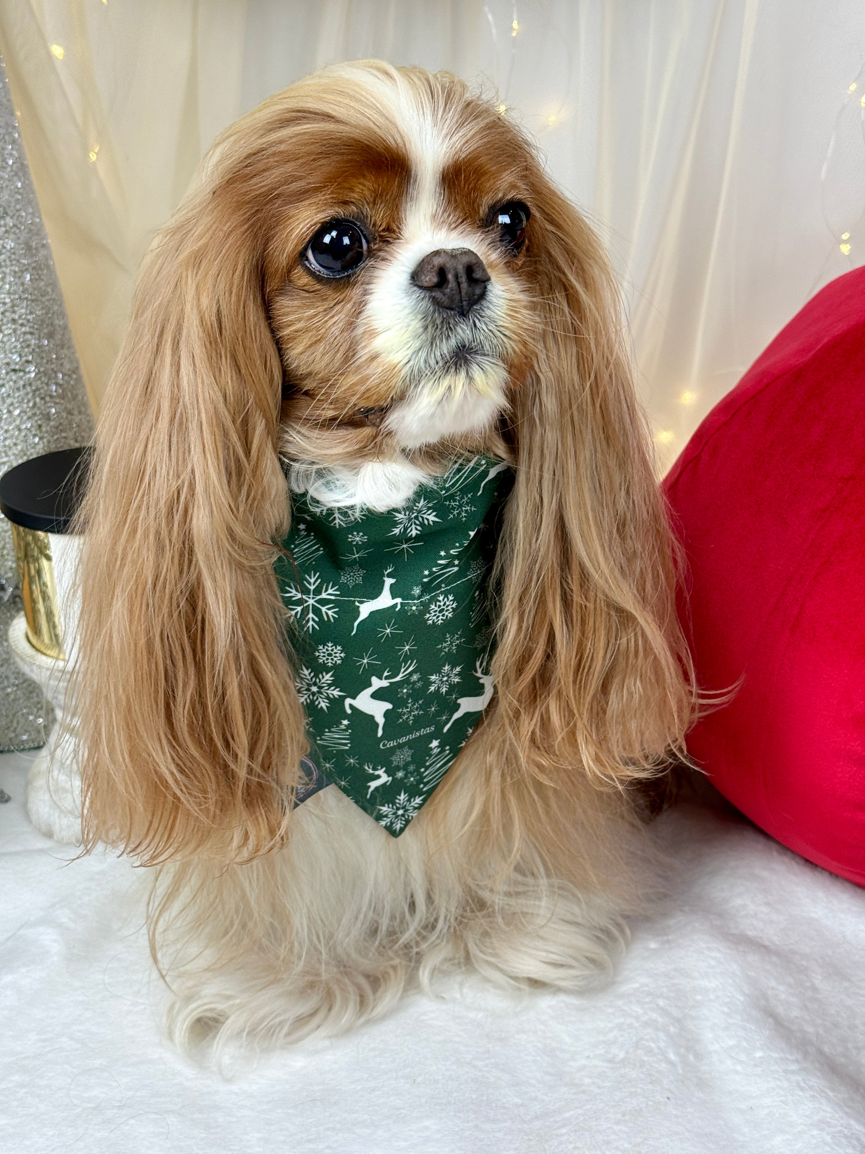 Intermission Wardrobe Change Reversible Bandana - Crimson Winter Garden & Evergreen Sleigh Ride