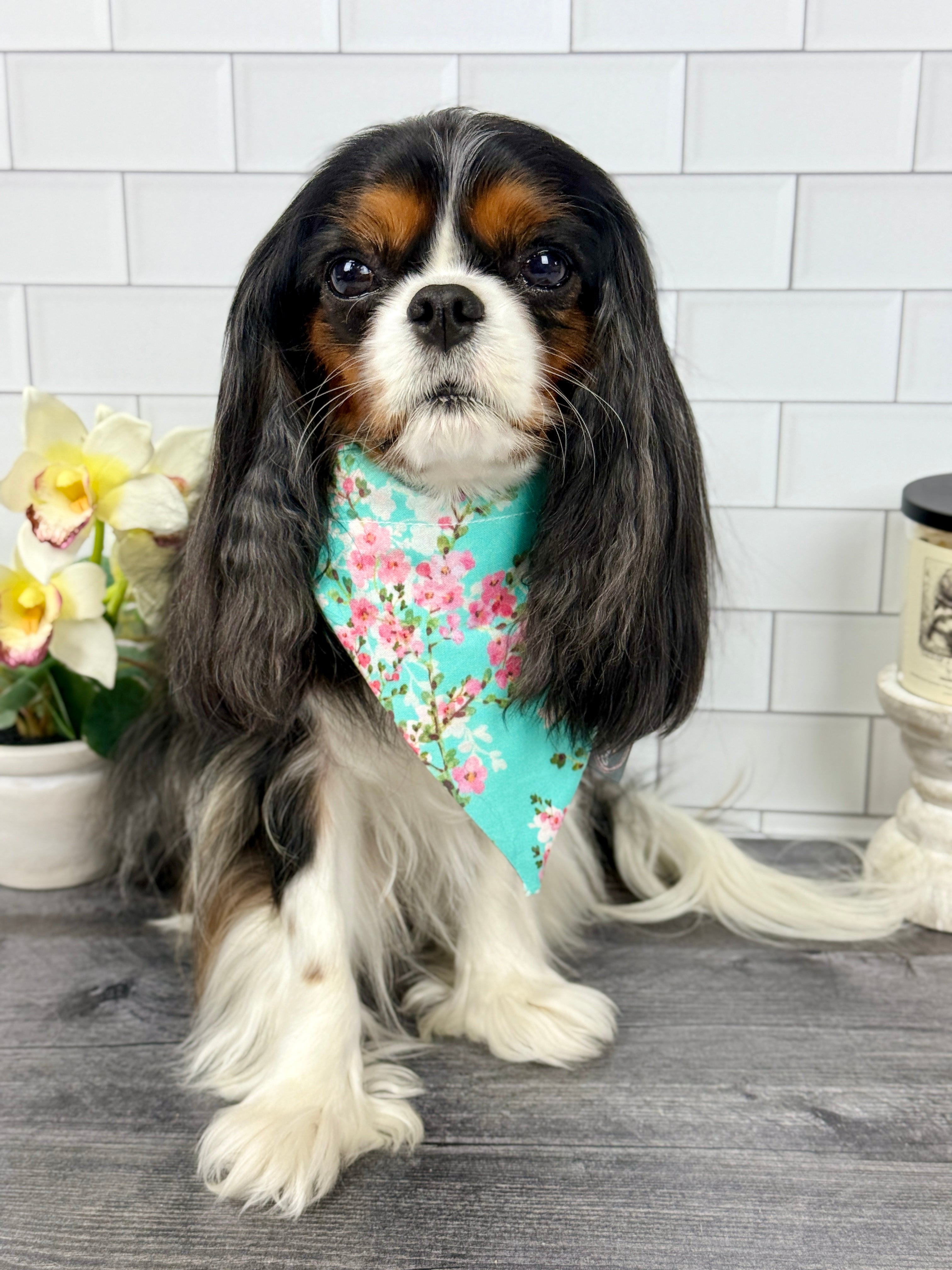 Intermission Wardrobe Change Reversible Bandana - Sakura Skies & Cherry Blossom Confetti