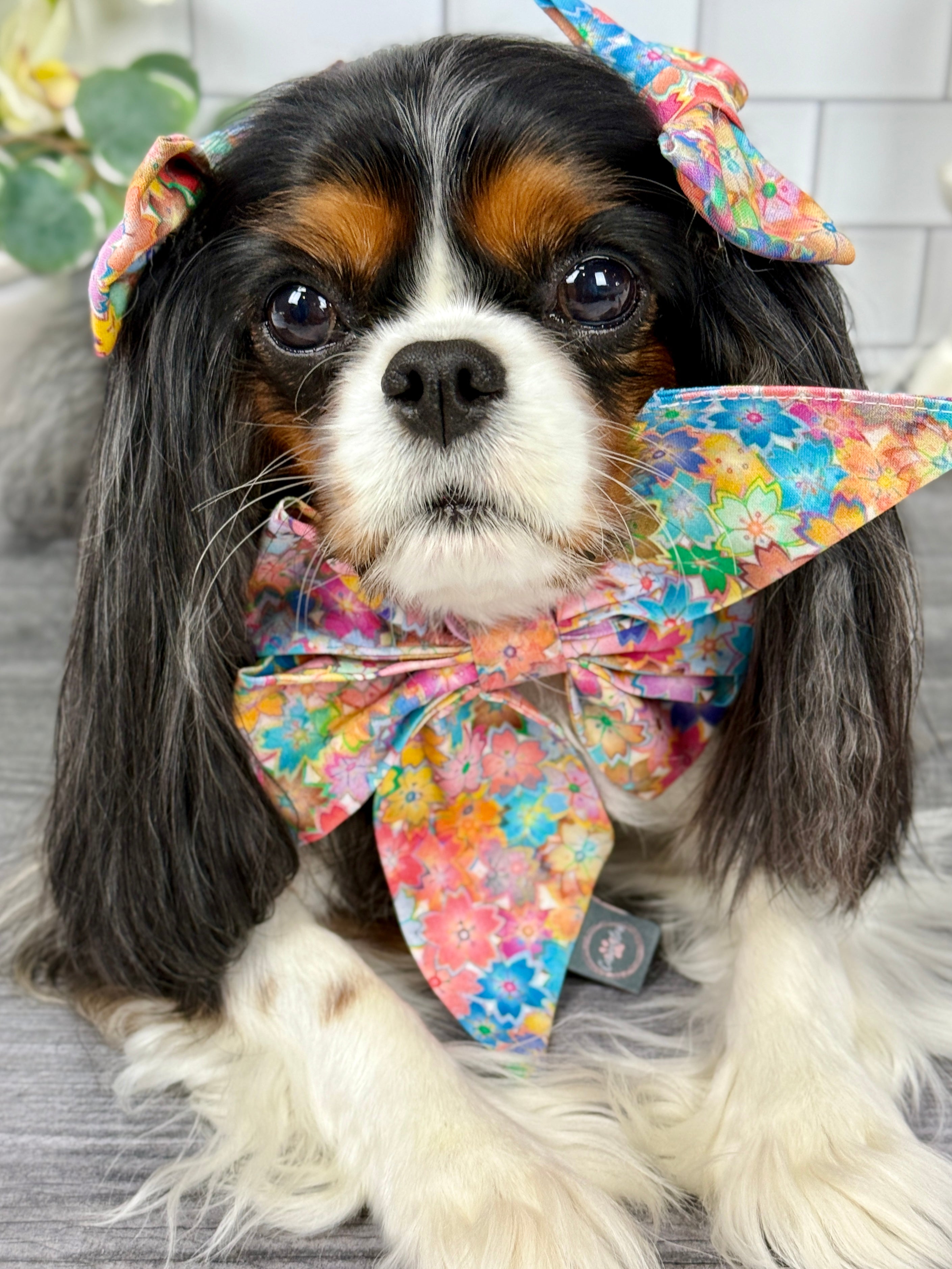 Strike a Pose Bow - Sakura Skies & Cherry Blossom Confetti