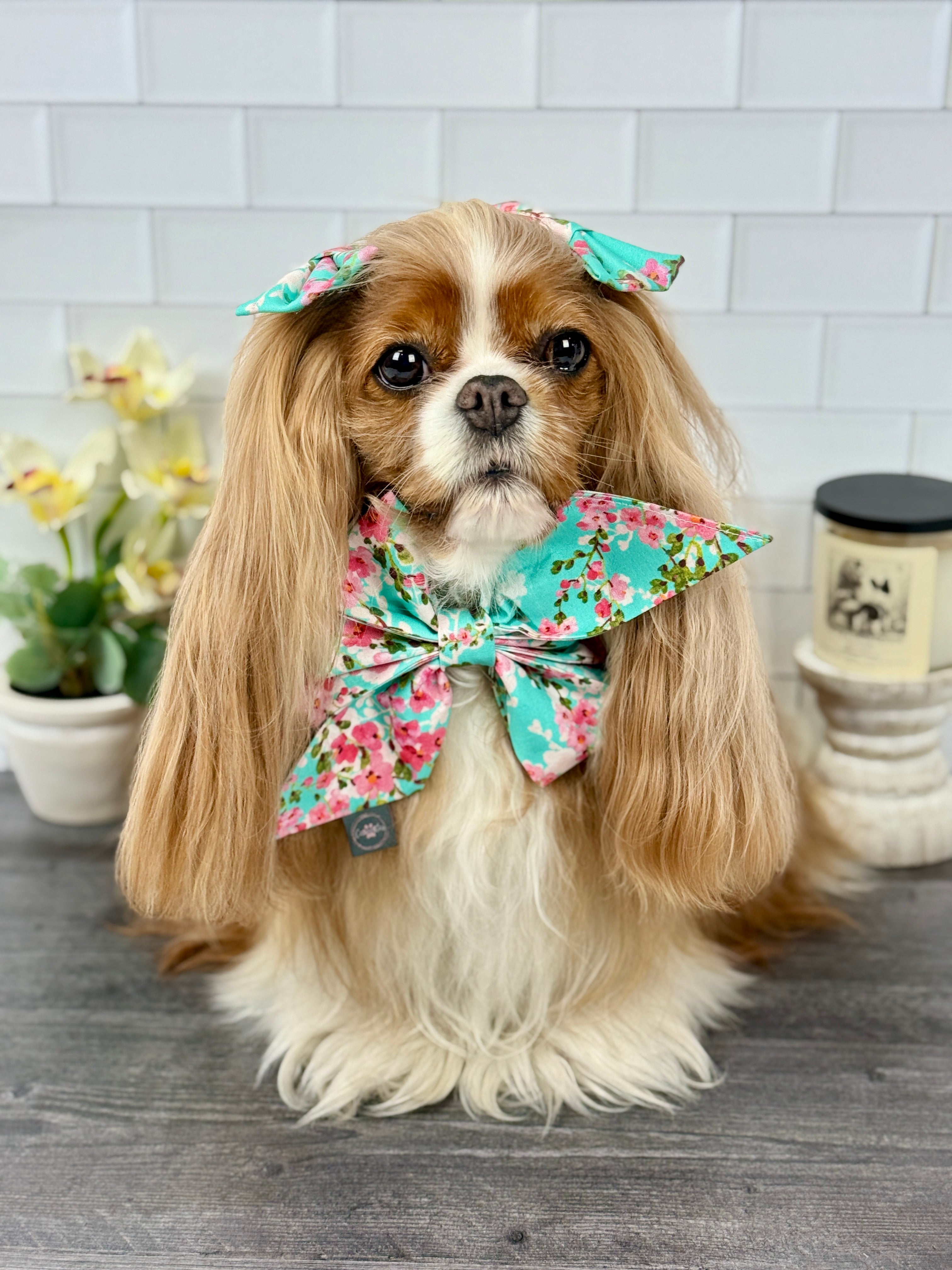 Strike a Pose Bow - Sakura Skies & Cherry Blossom Confetti