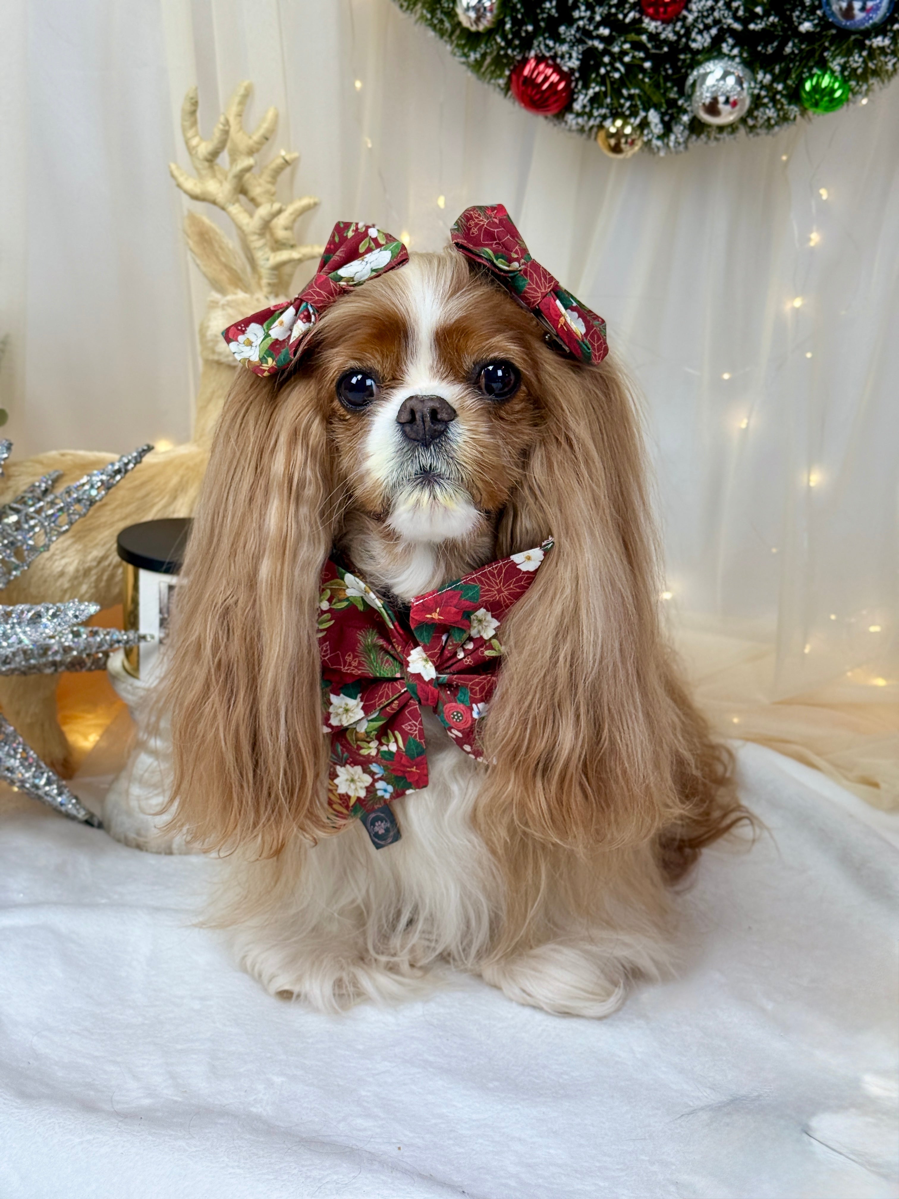 Strike a Pose Bow - Crimson Winter Garden or Evergreen Sleigh Ride