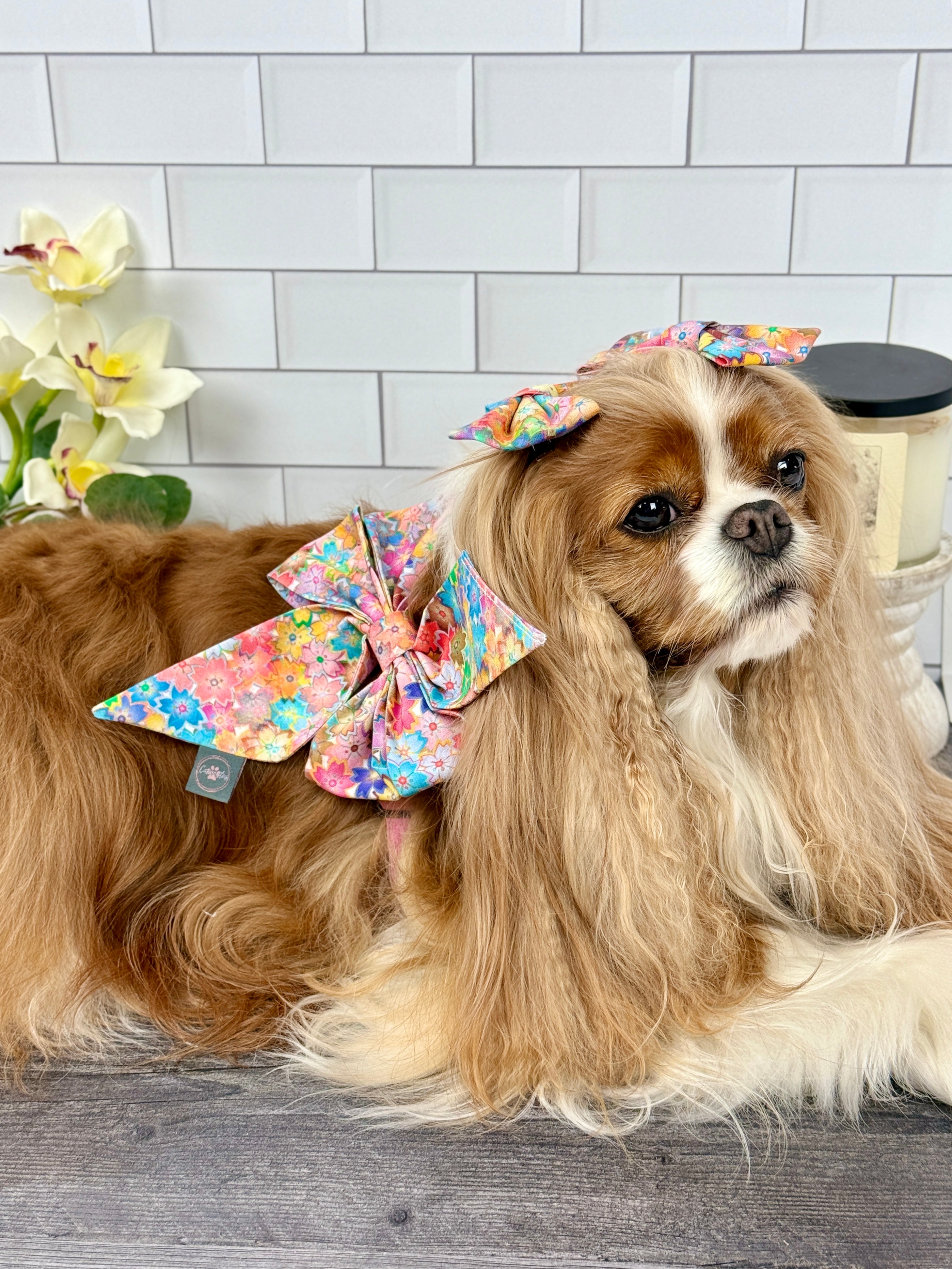 Strike a Pose Bow - Sakura Skies & Cherry Blossom Confetti