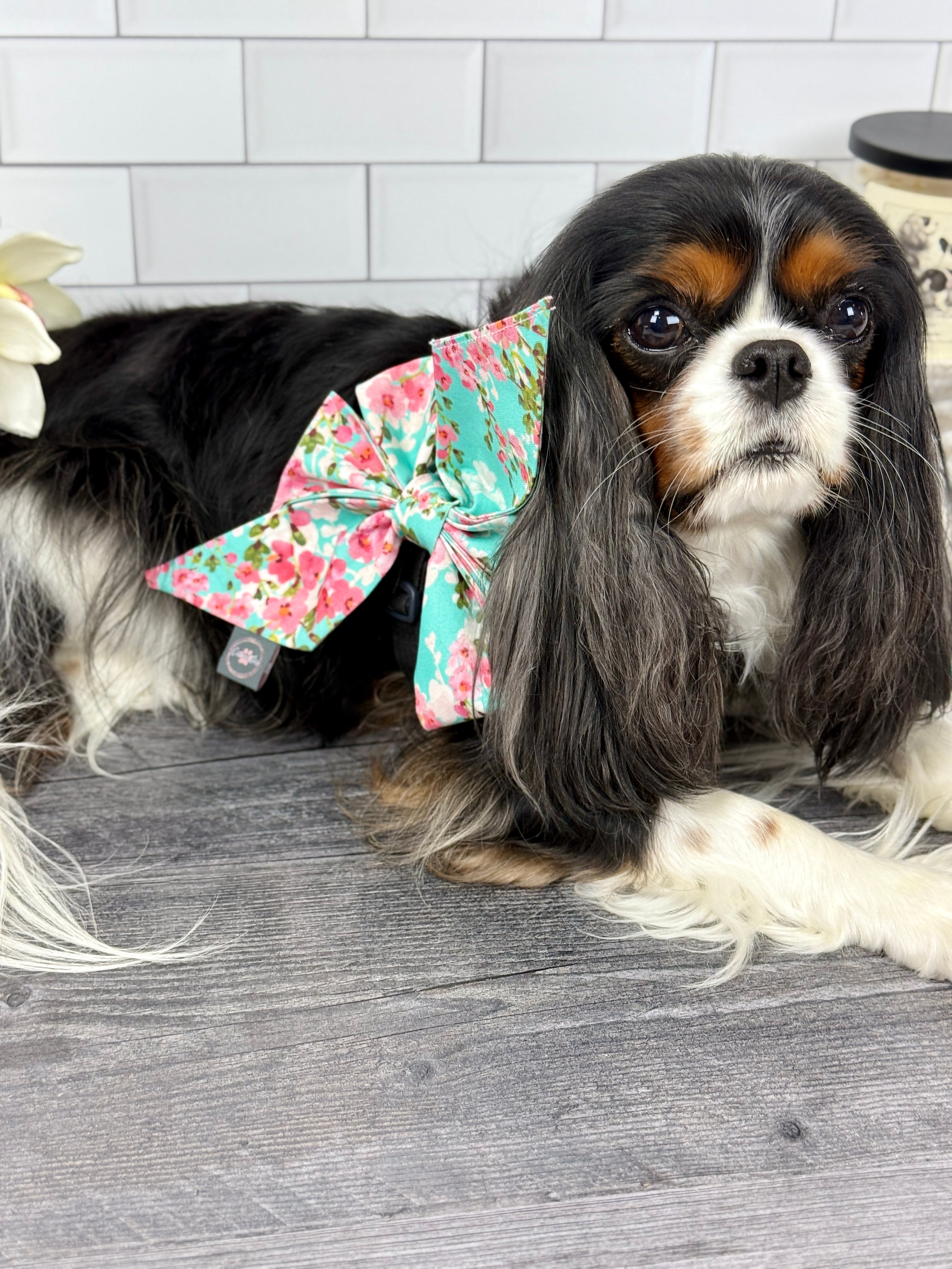 Strike a Pose Bow - Sakura Skies & Cherry Blossom Confetti