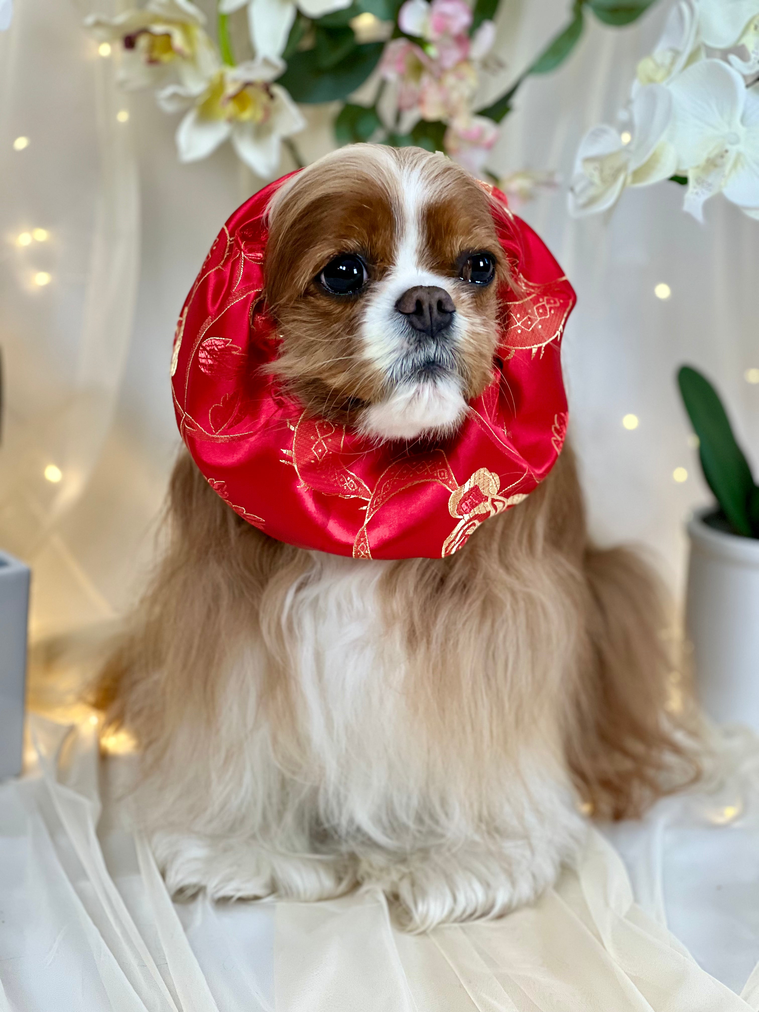 The Long Ear Struggles are Real Snood - Chinese New Year