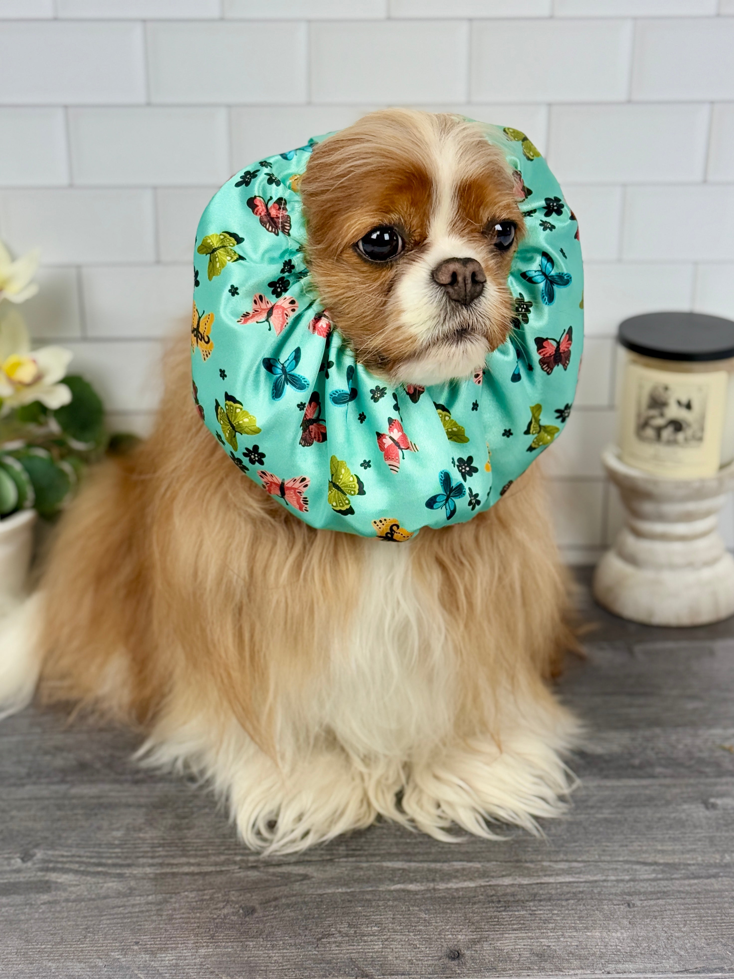 The Long-Ear Struggles are Real Snood - Butterfly Breeze