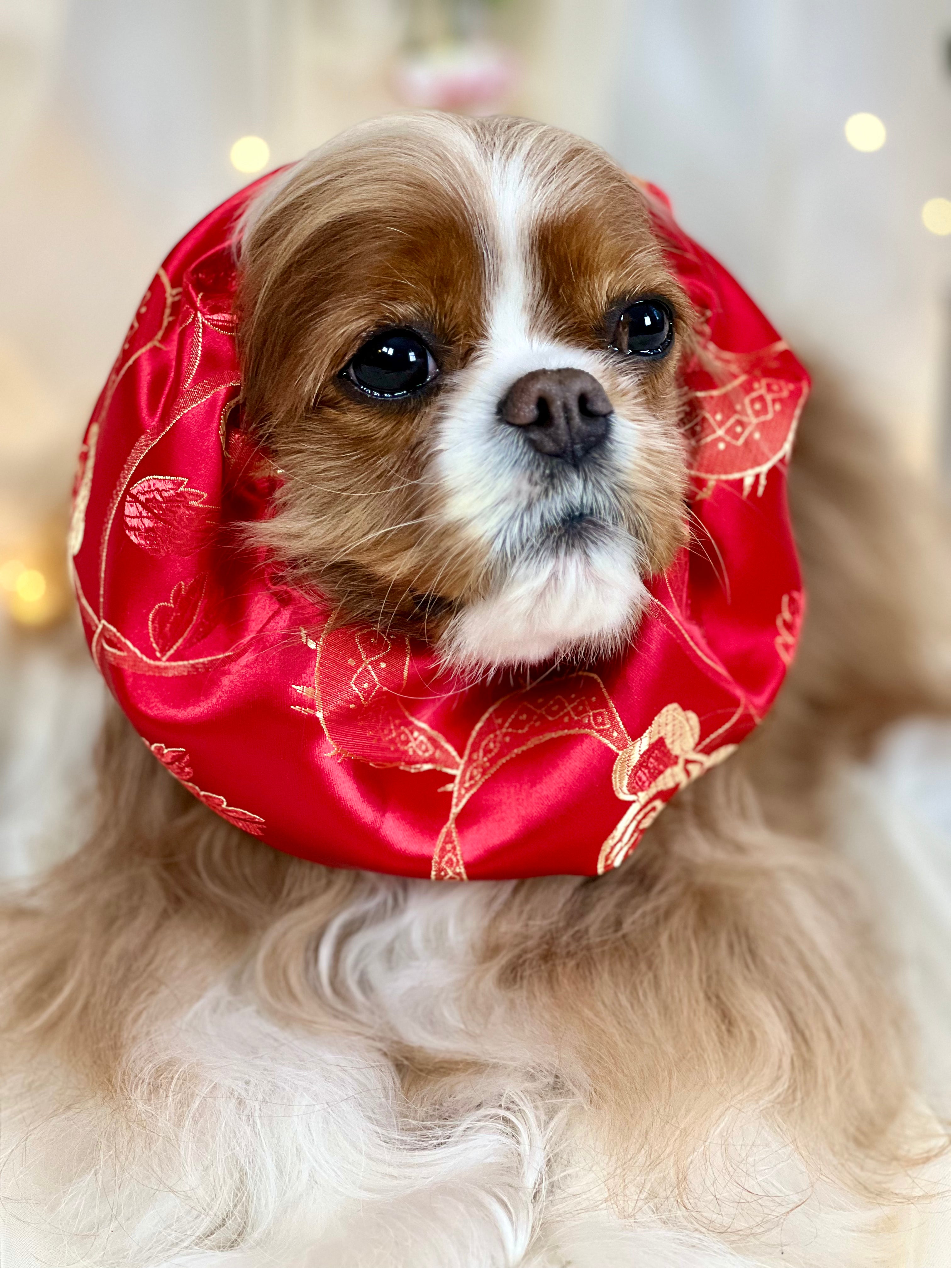 The Long Ear Struggles are Real Snood - Chinese New Year